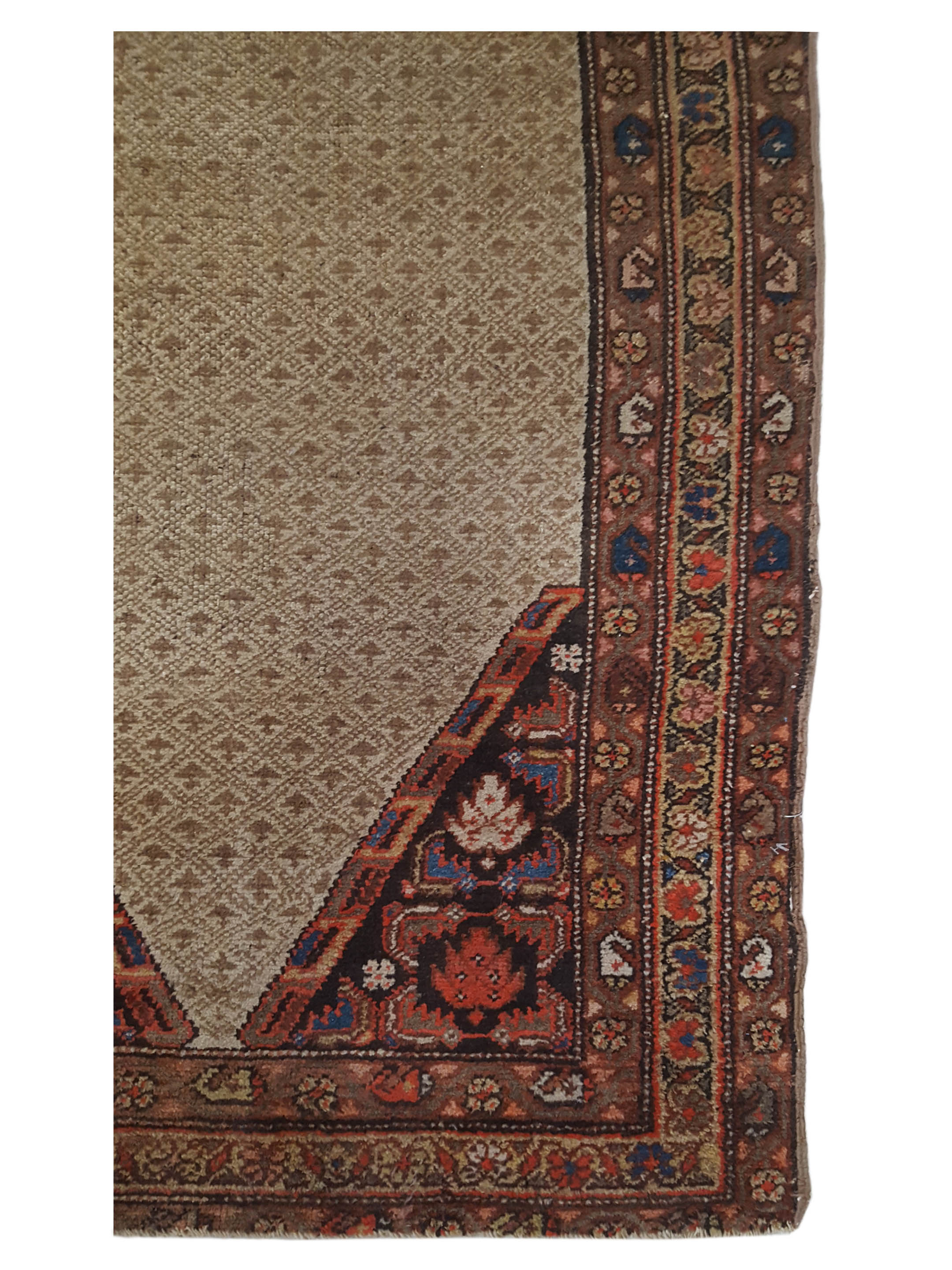 Antique Serab Camel 3x9 - Image 3 of 7