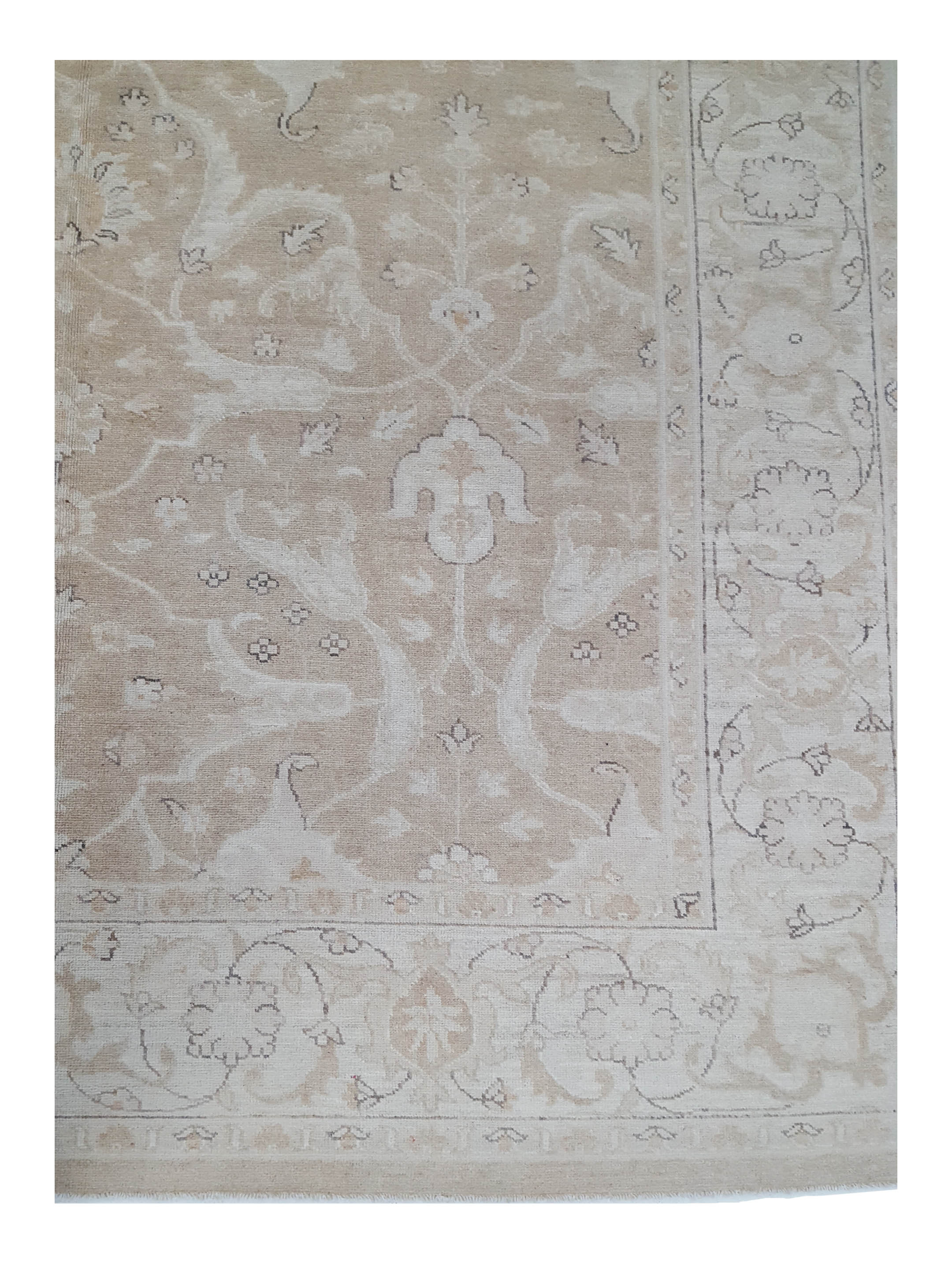 Farahan Hand Knotted Beige 6x9 - Image 4 of 6