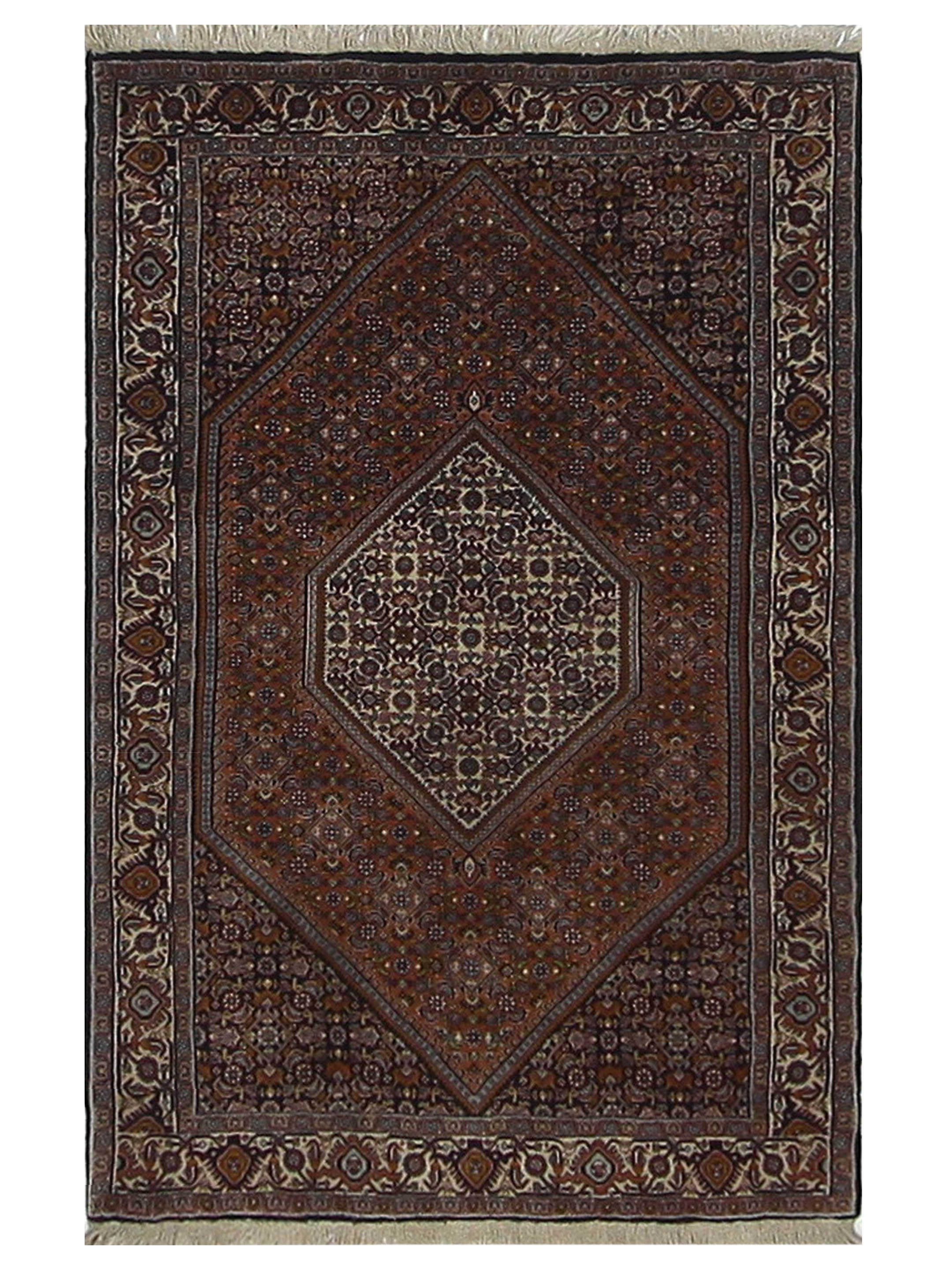 Bijar Hand Knotted Rust 4x6