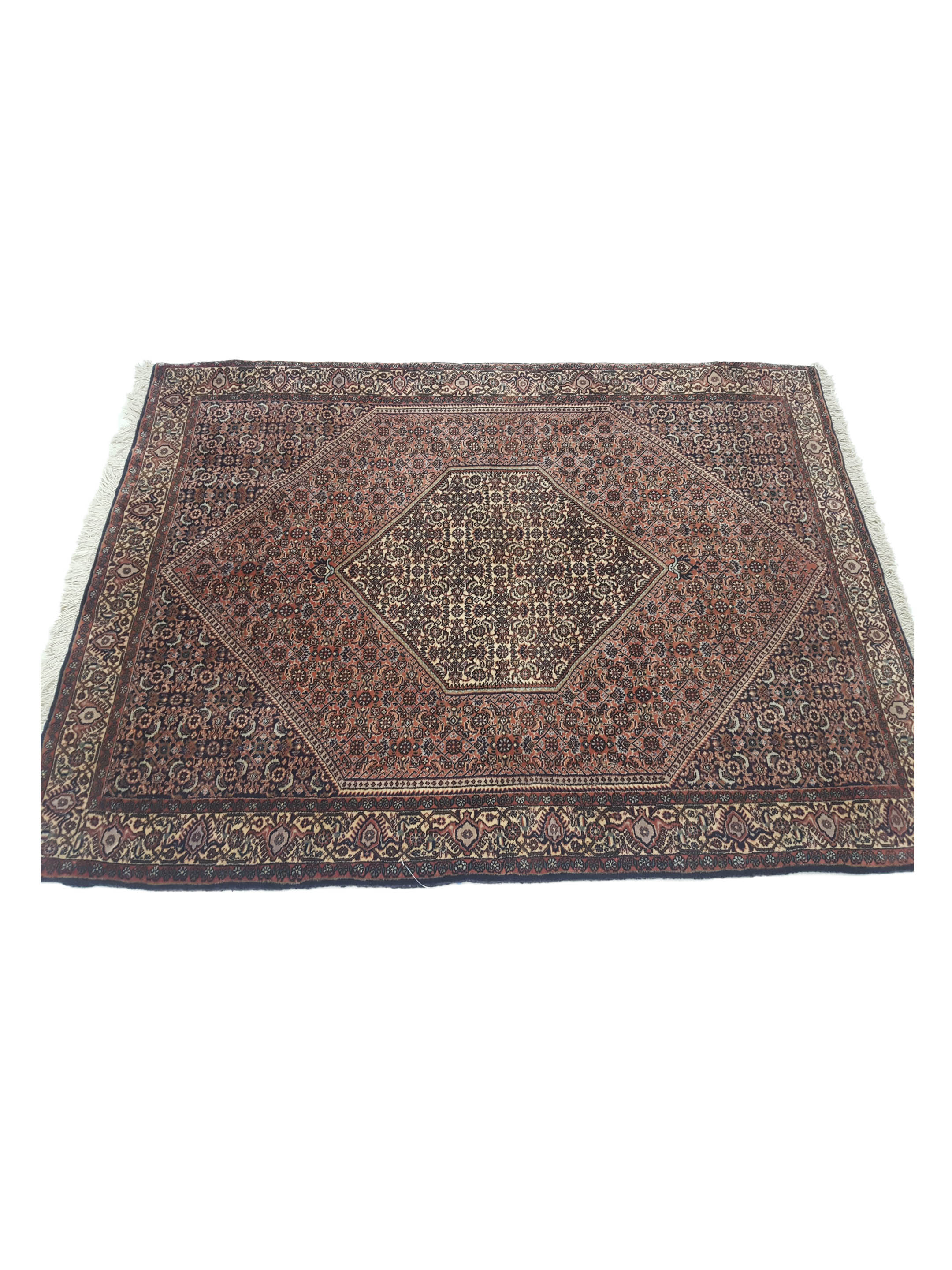 Bijar Hand Knotted Ivory 4x6 - Image 5 of 6