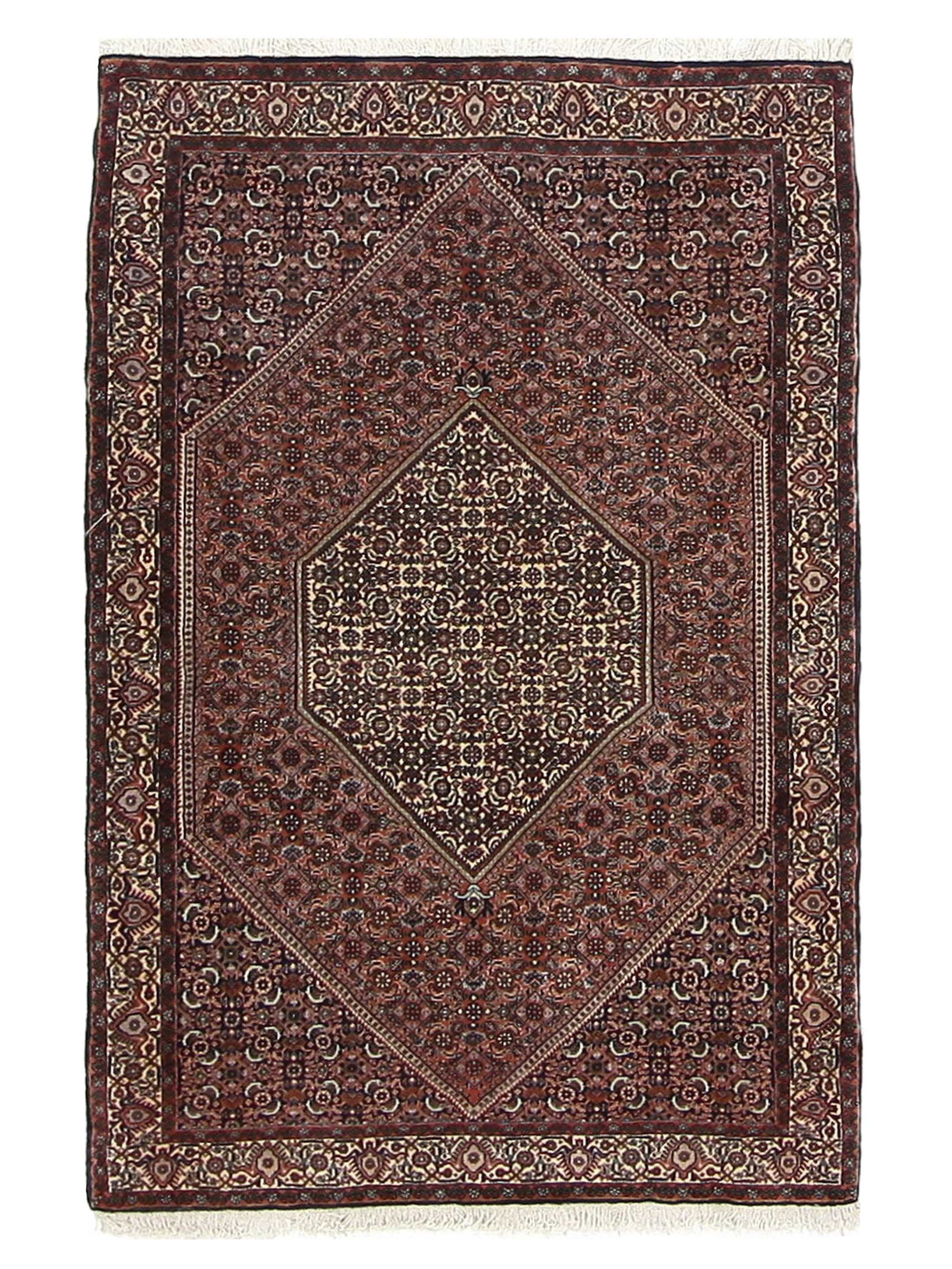 Bijar Hand Knotted Ivory 4x6