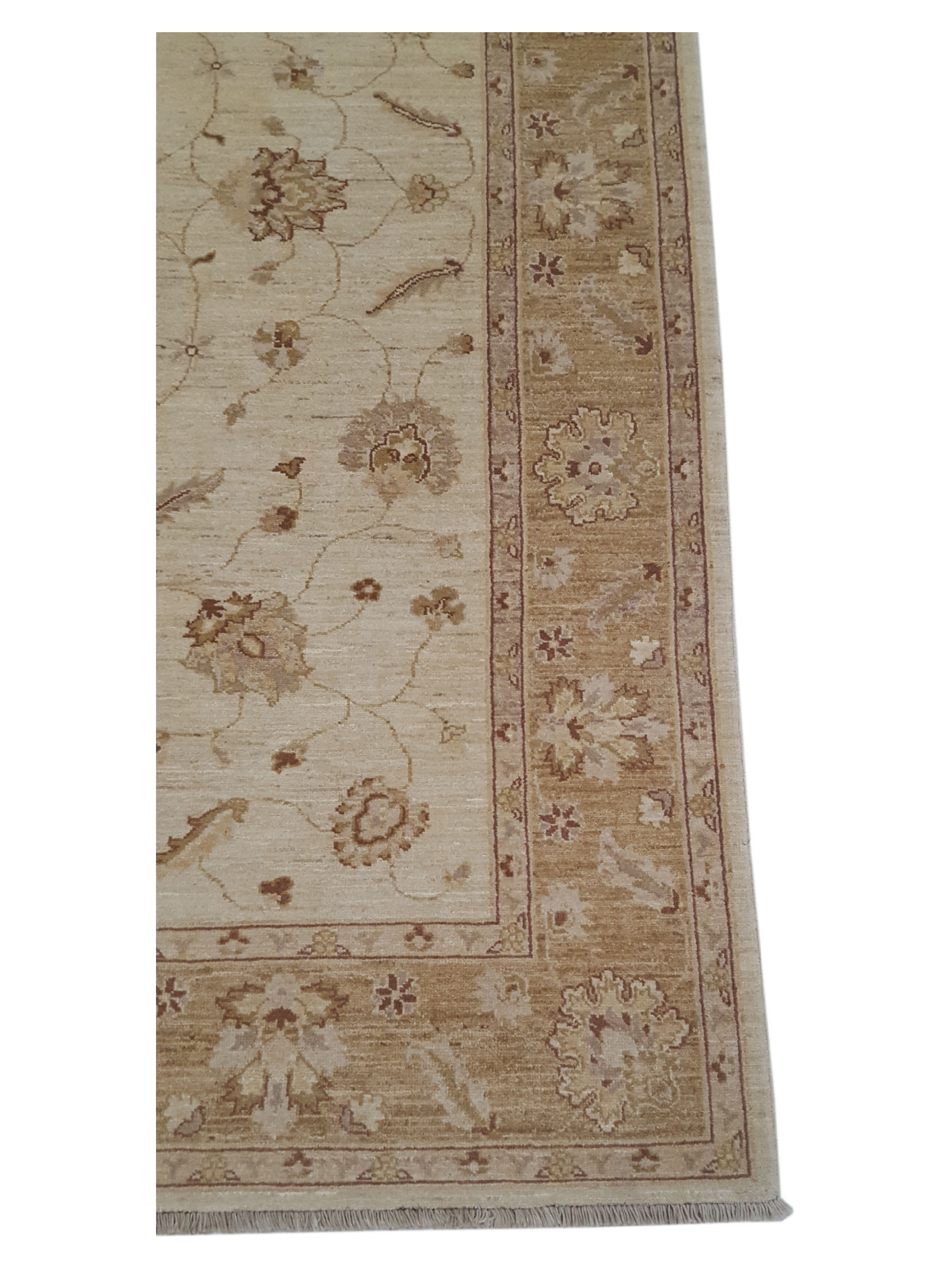 Ziegler Hand Knotted Beige 6x9 - Image 4 of 6