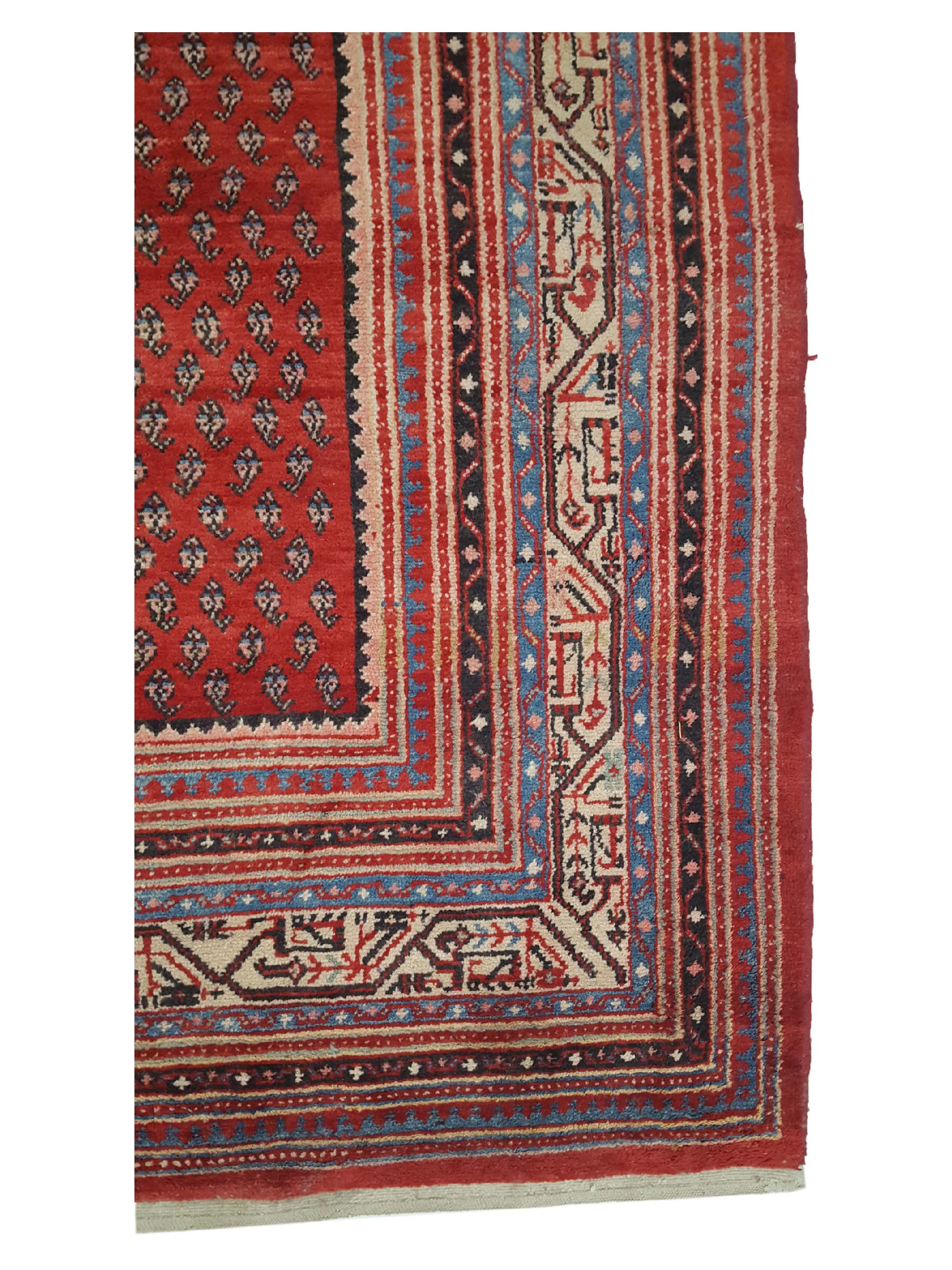 Mahal Hand Knotted Spice 6x10 - Image 4 of 6