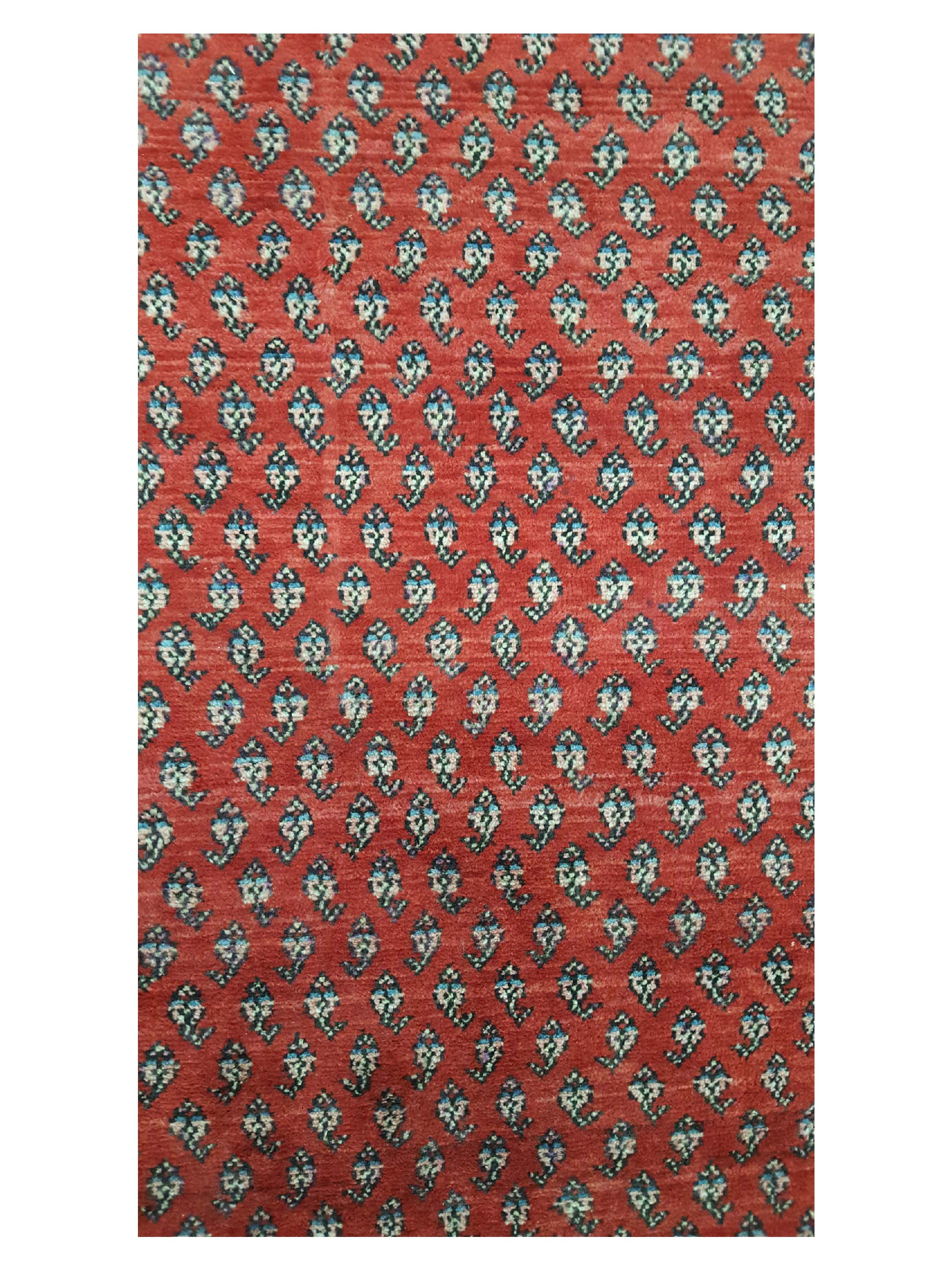 Mahal Hand Knotted Spice 6x10 - Image 5 of 6