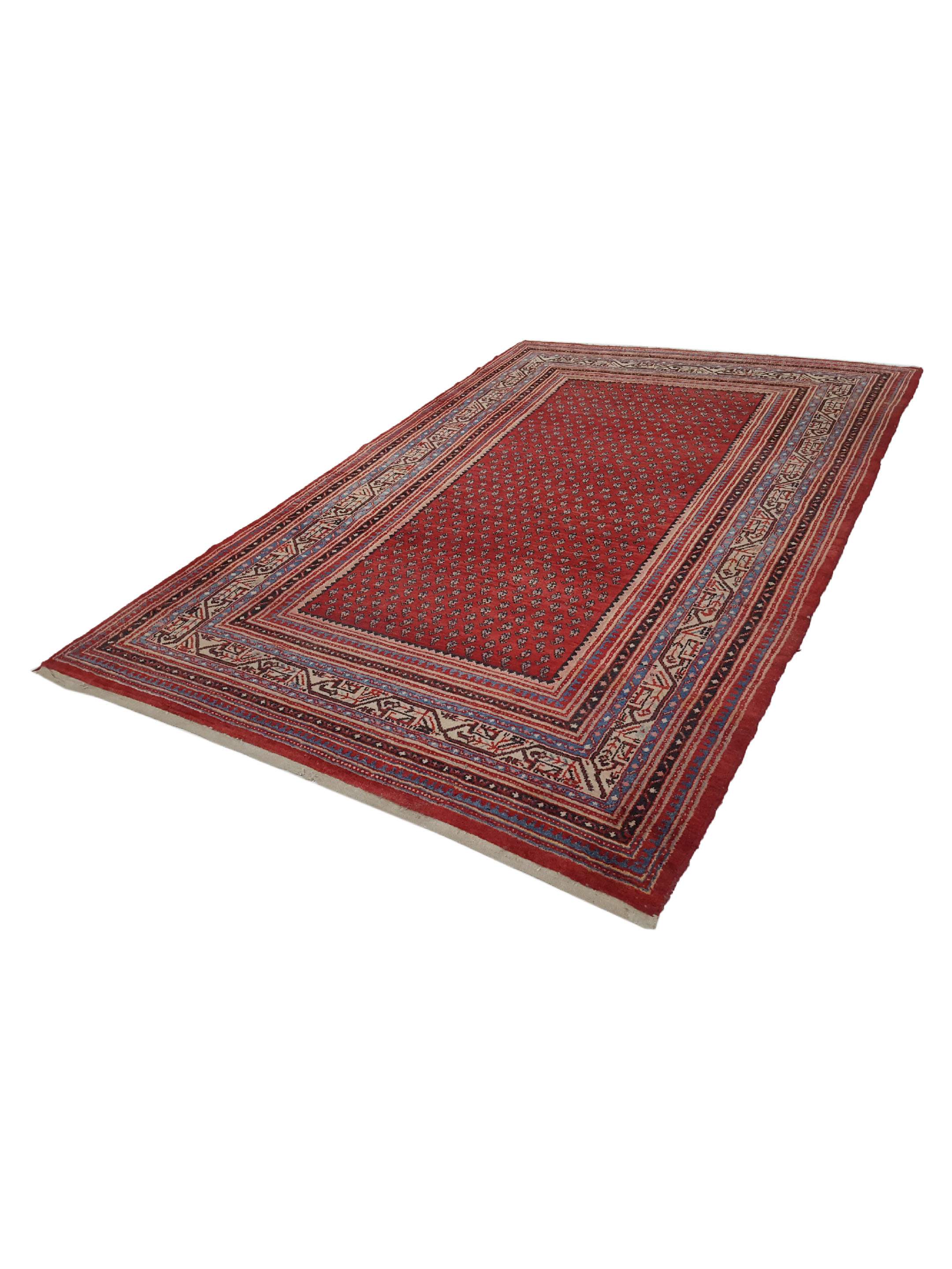 Mahal Hand Knotted Spice 6x10 - Image 6 of 6