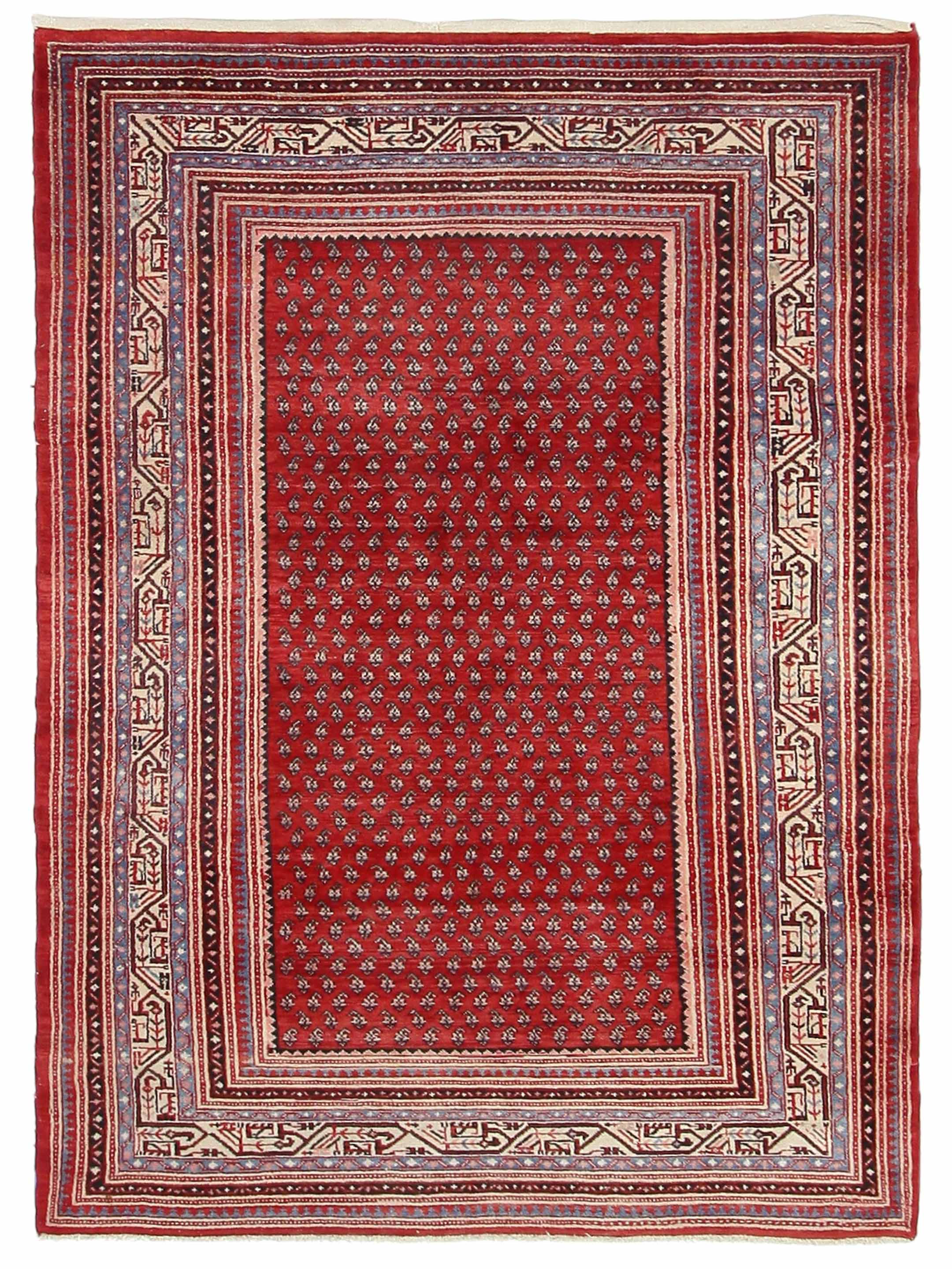 Mahal Hand Knotted Spice 6x10