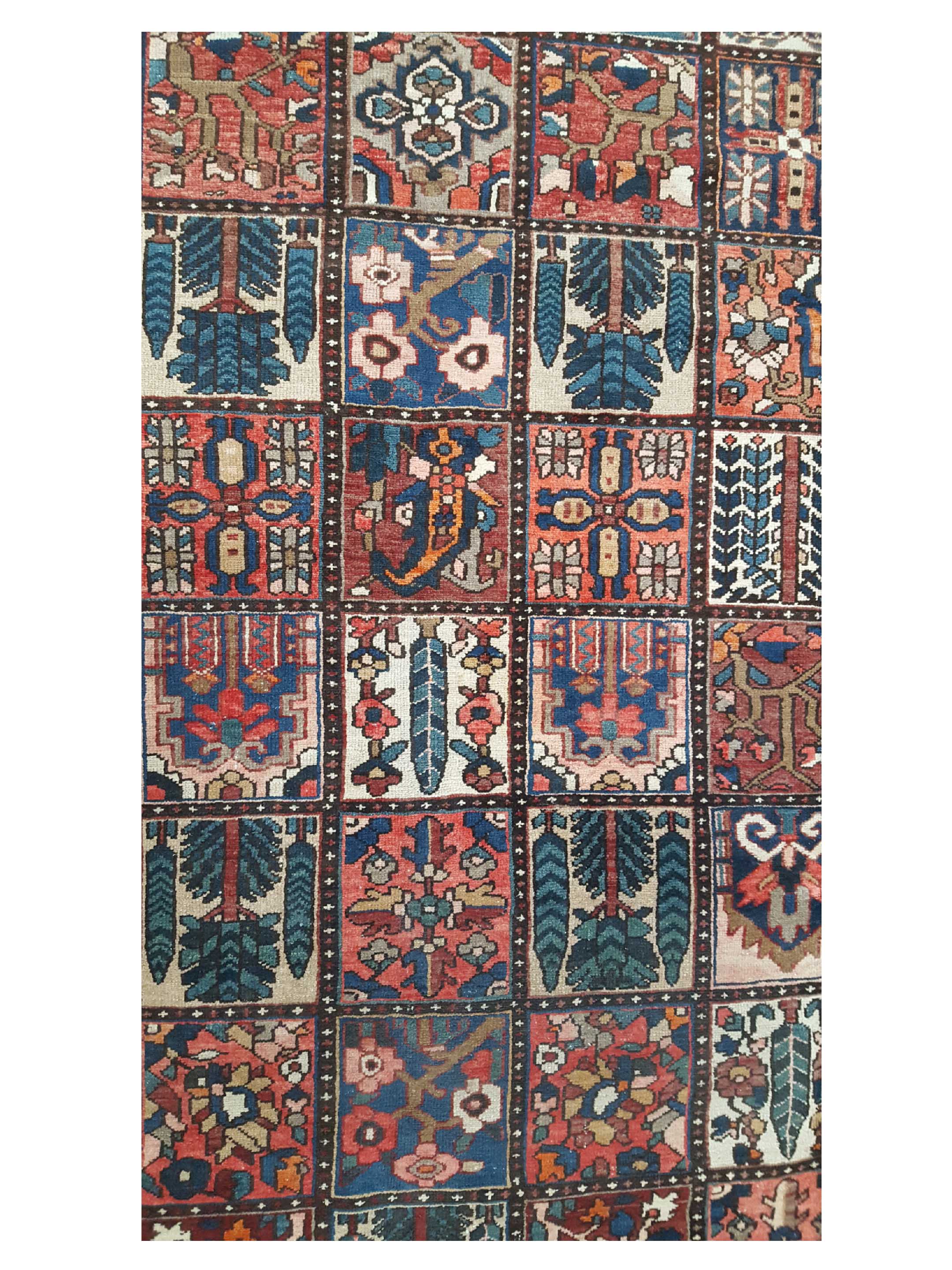 Antique Bakhtiyari Multi 13x13 - Image 5 of 6