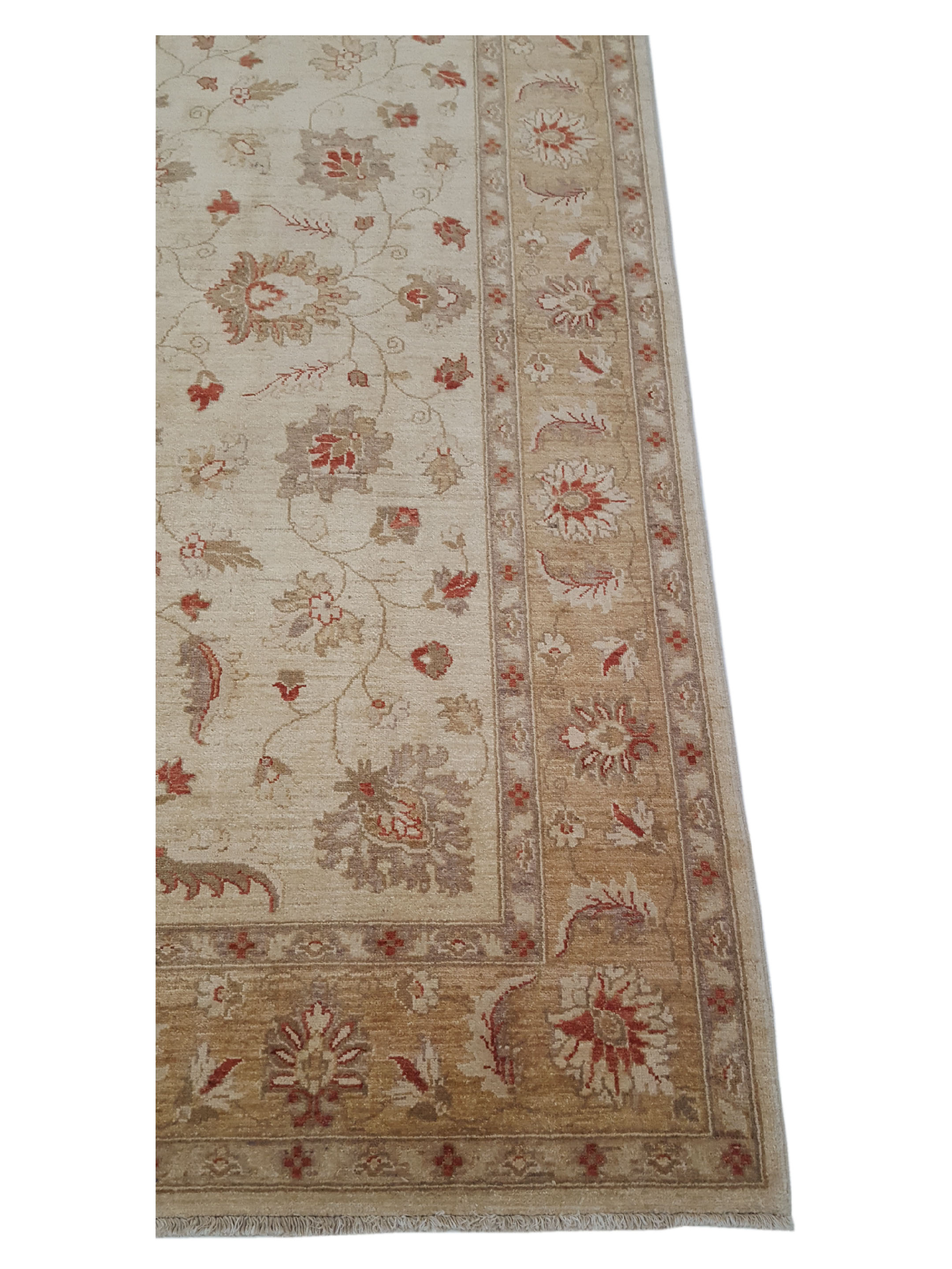 Ziegler Hand Knotted Beige 6x9 - Image 4 of 6