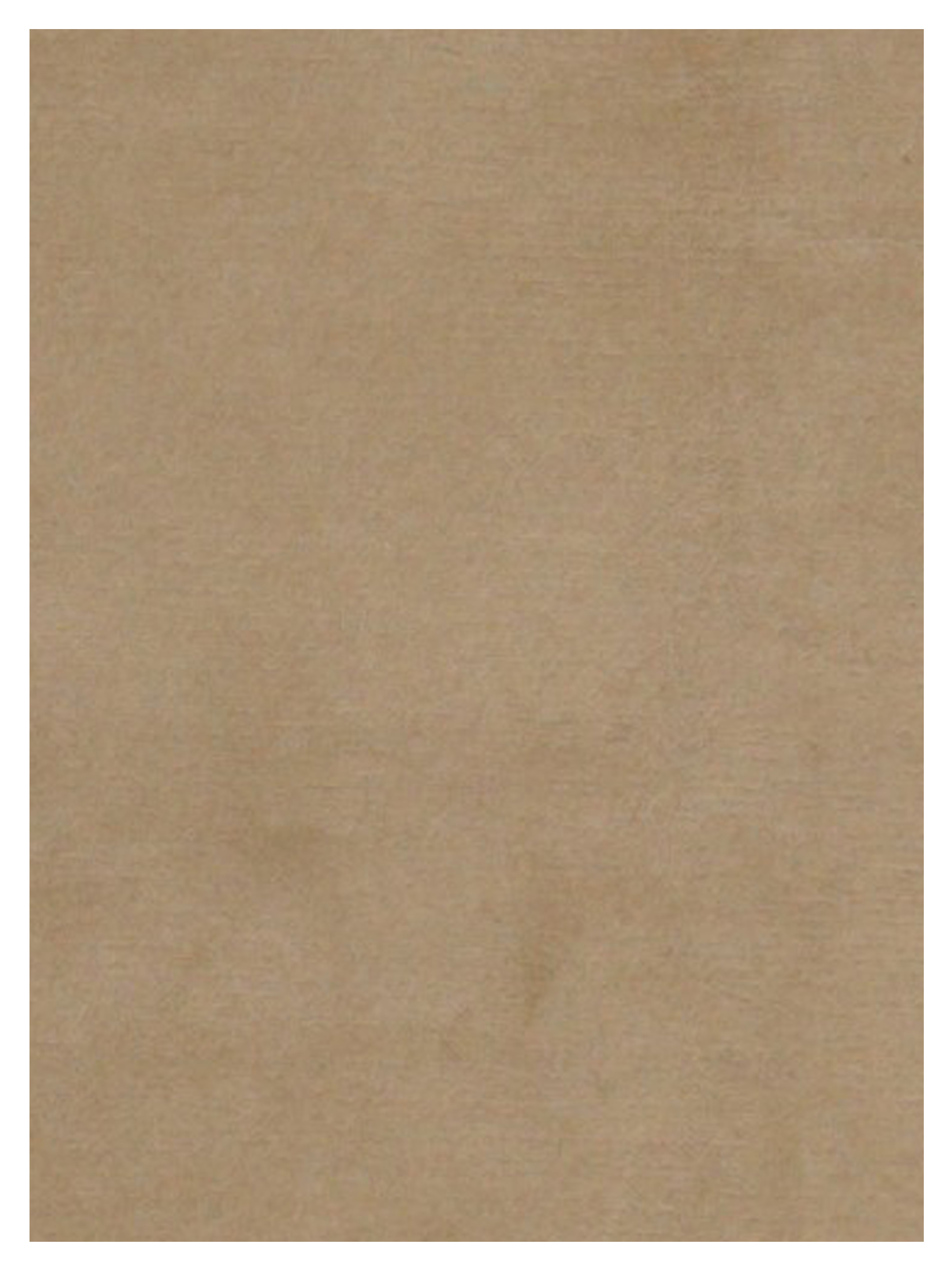 Nepalese Hand Knotted Beige 5x8 - Image 4 of 5