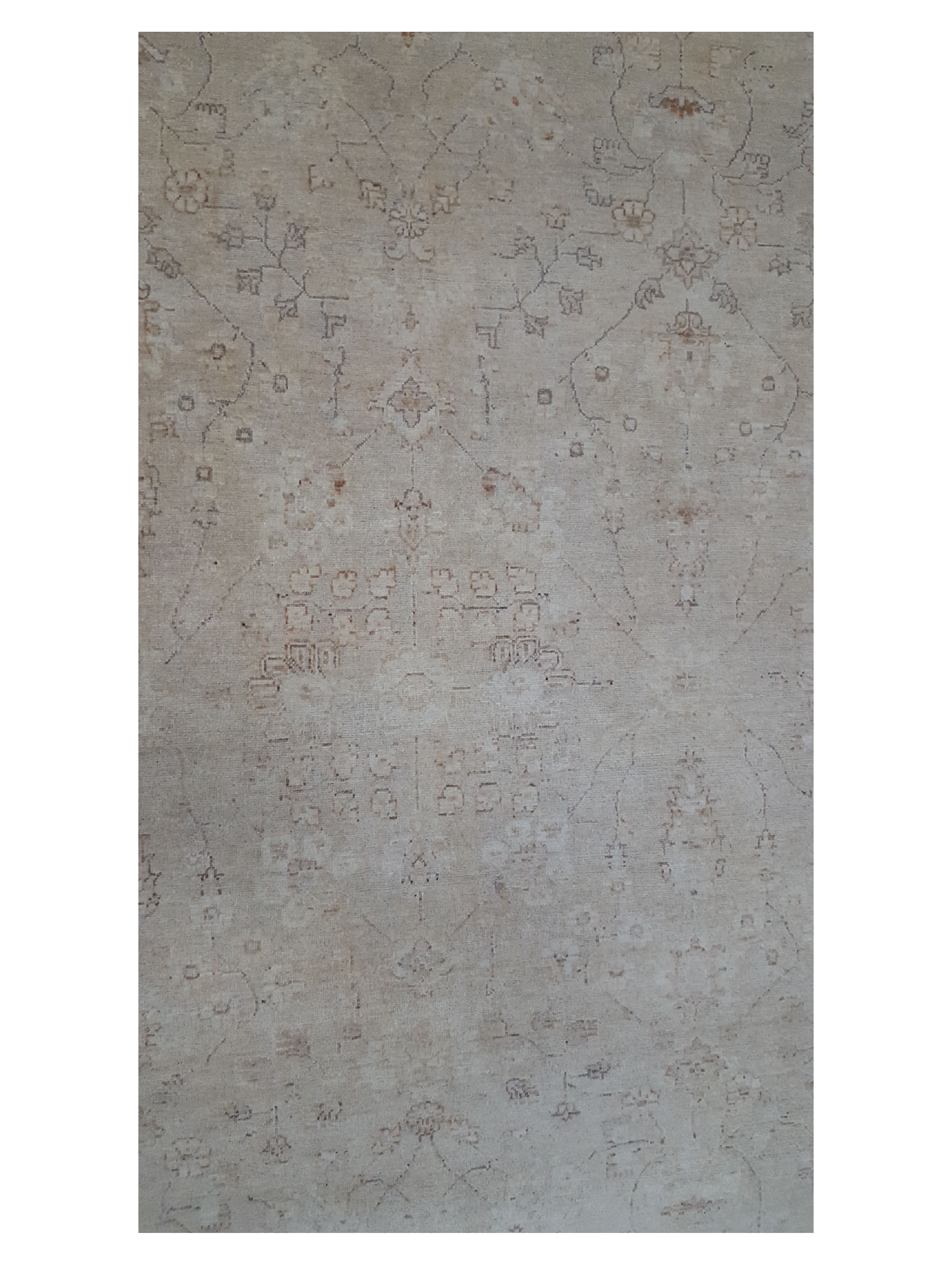 Ziegler Hand Knotted Beige 8x10 - Image 5 of 6