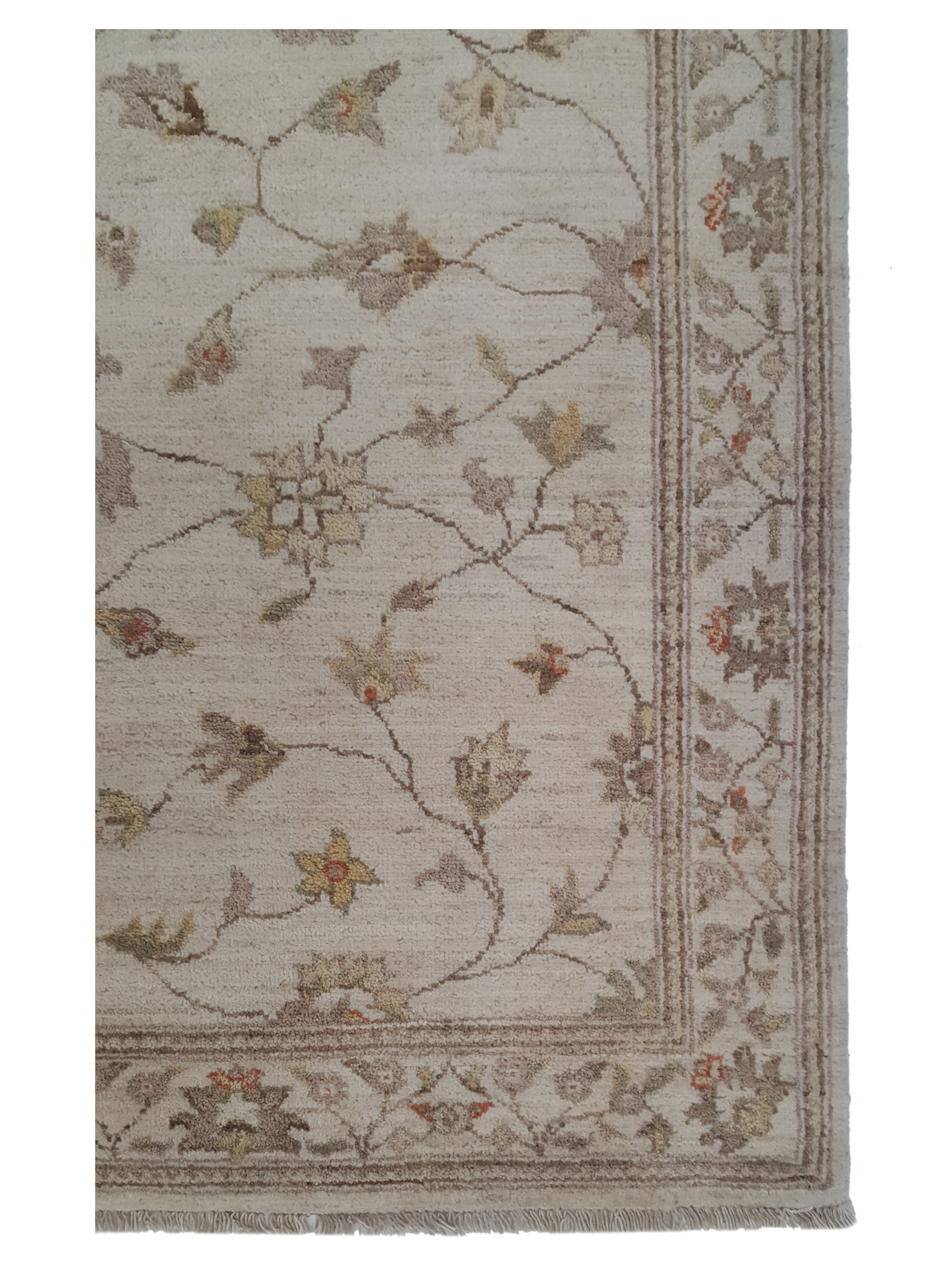 Ziegler Hand Knotted Ivory 4x6 - Image 3 of 5