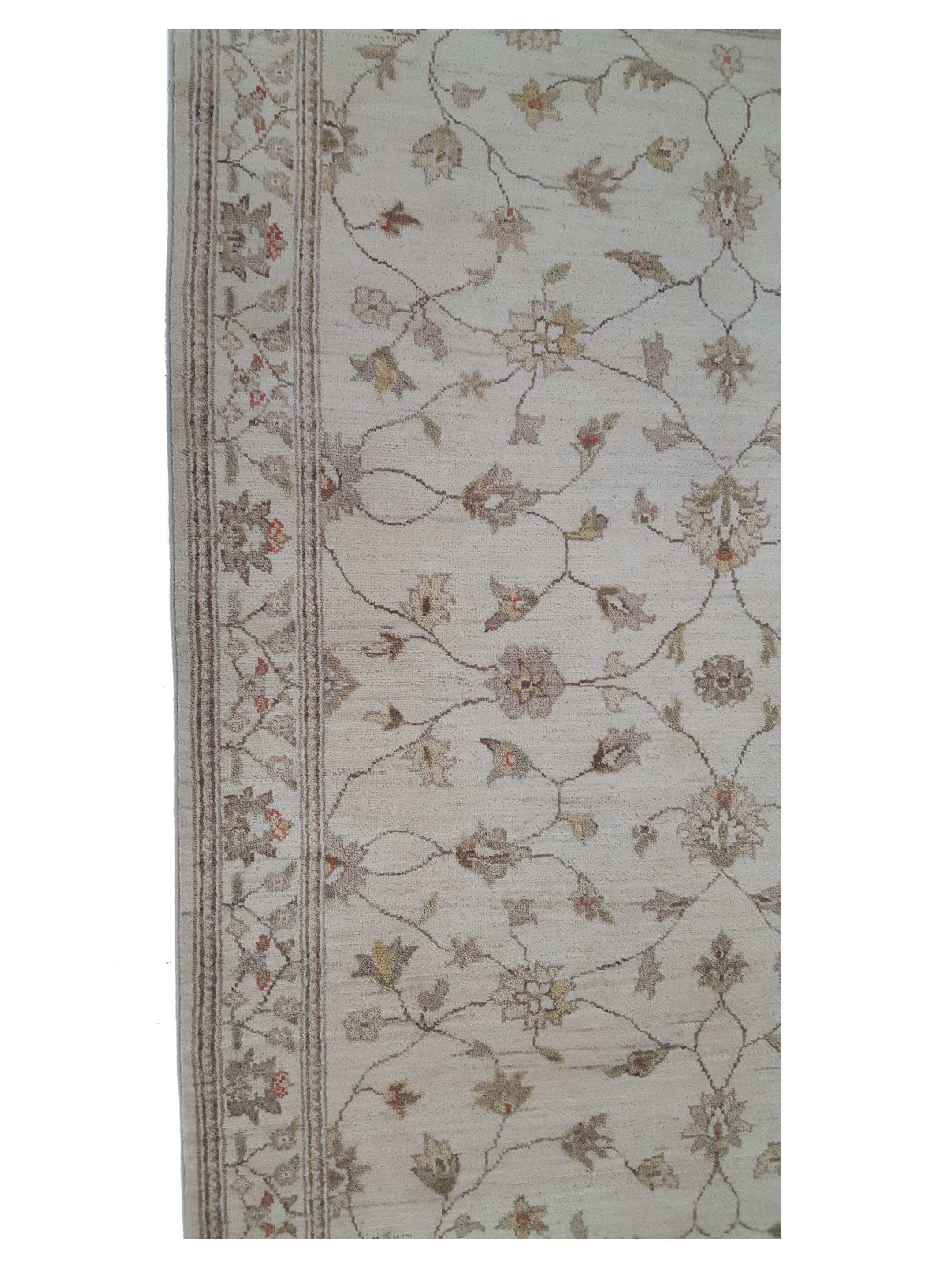 Ziegler Hand Knotted Ivory 4x6 - Image 4 of 5
