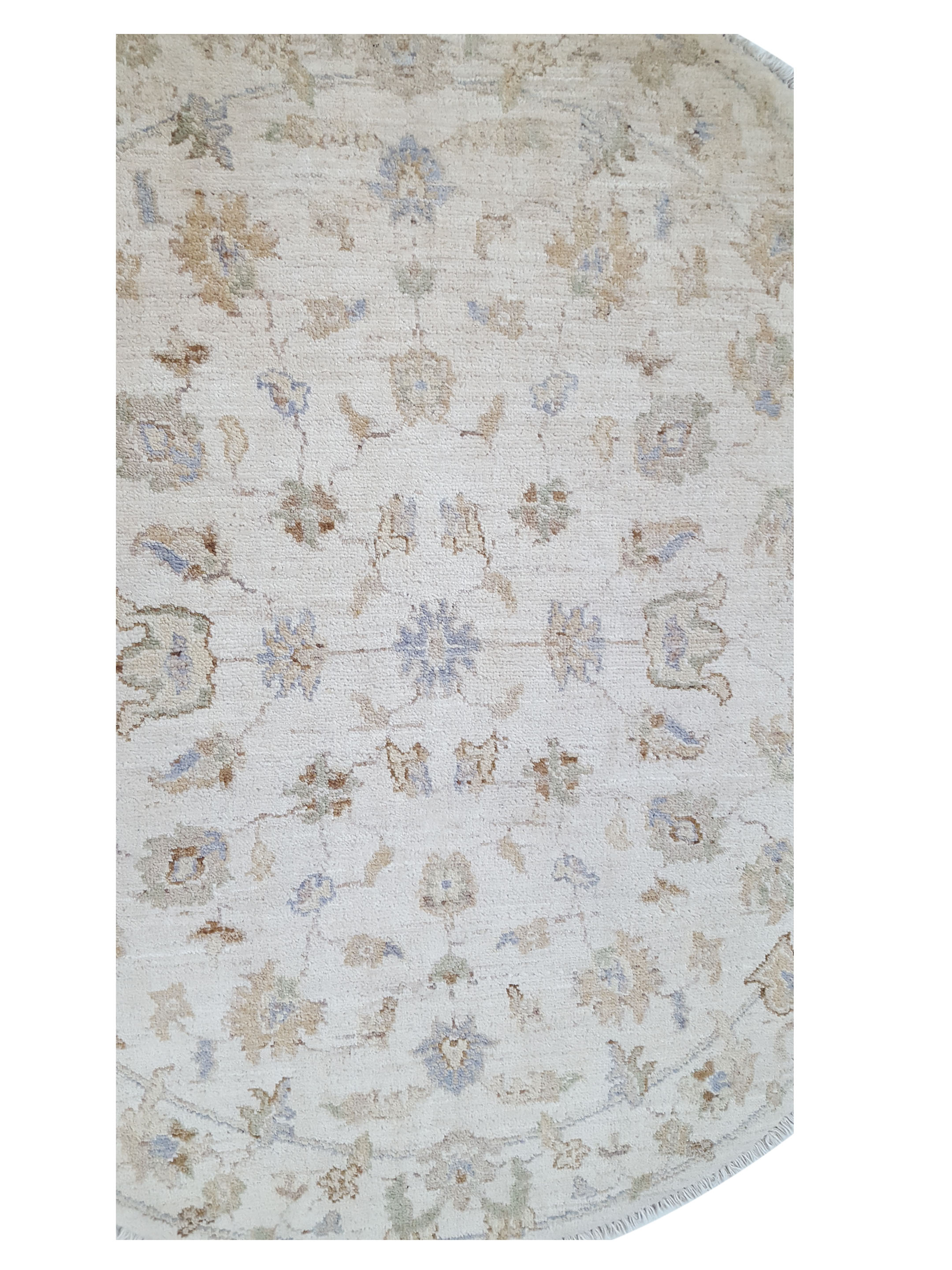 Ziegler Hand Knotted Ivory 4x4 - Image 5 of 5