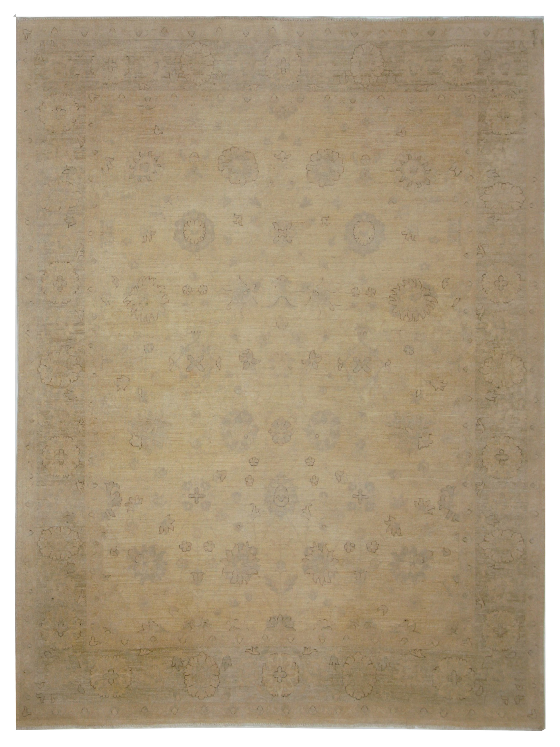 Ziegler Hand Knotted Ivory 8x9