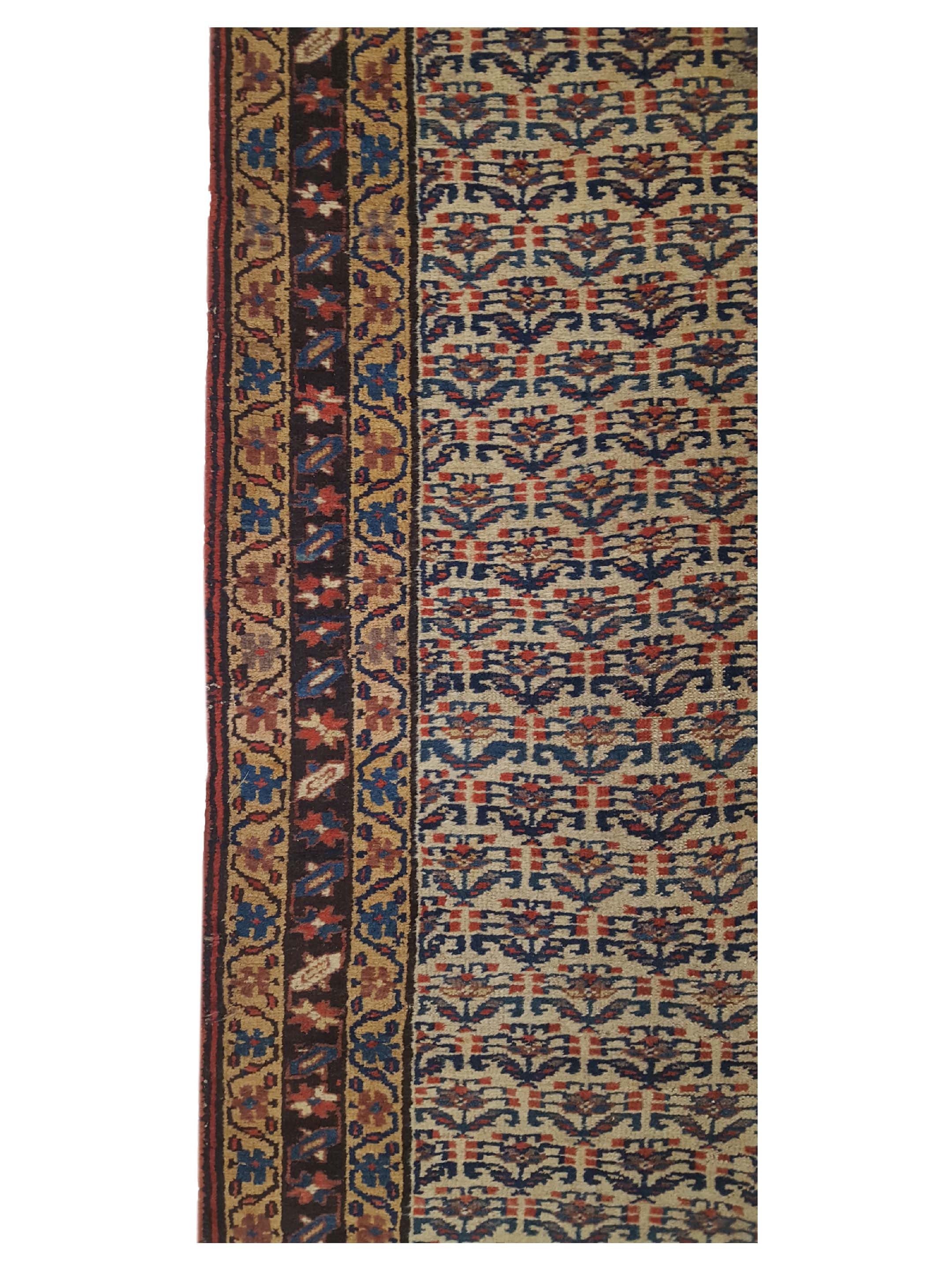 Bijar Hand Knotted Ivory 3x11 - Image 5 of 6