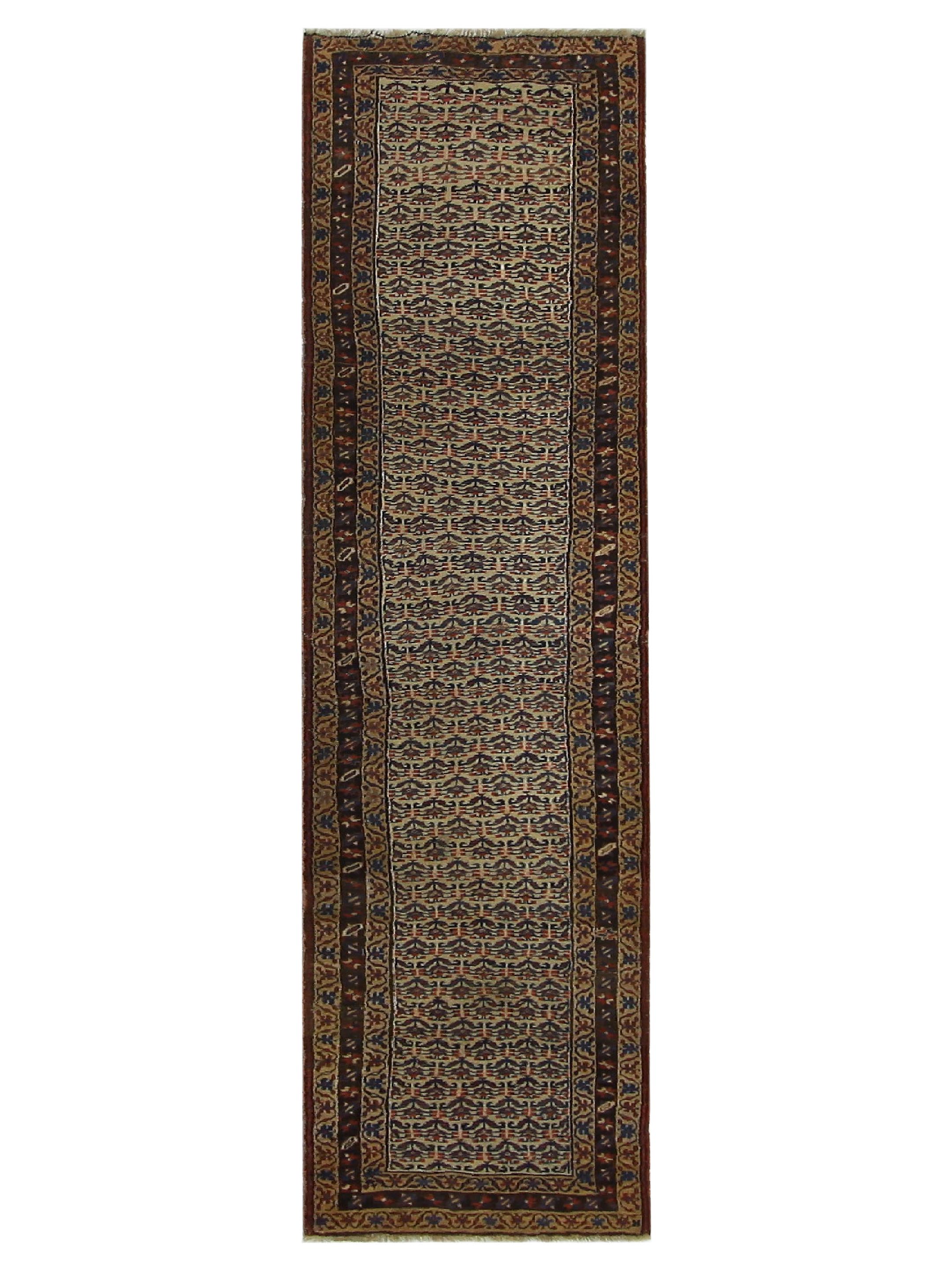 Bijar Hand Knotted Ivory 3x11
