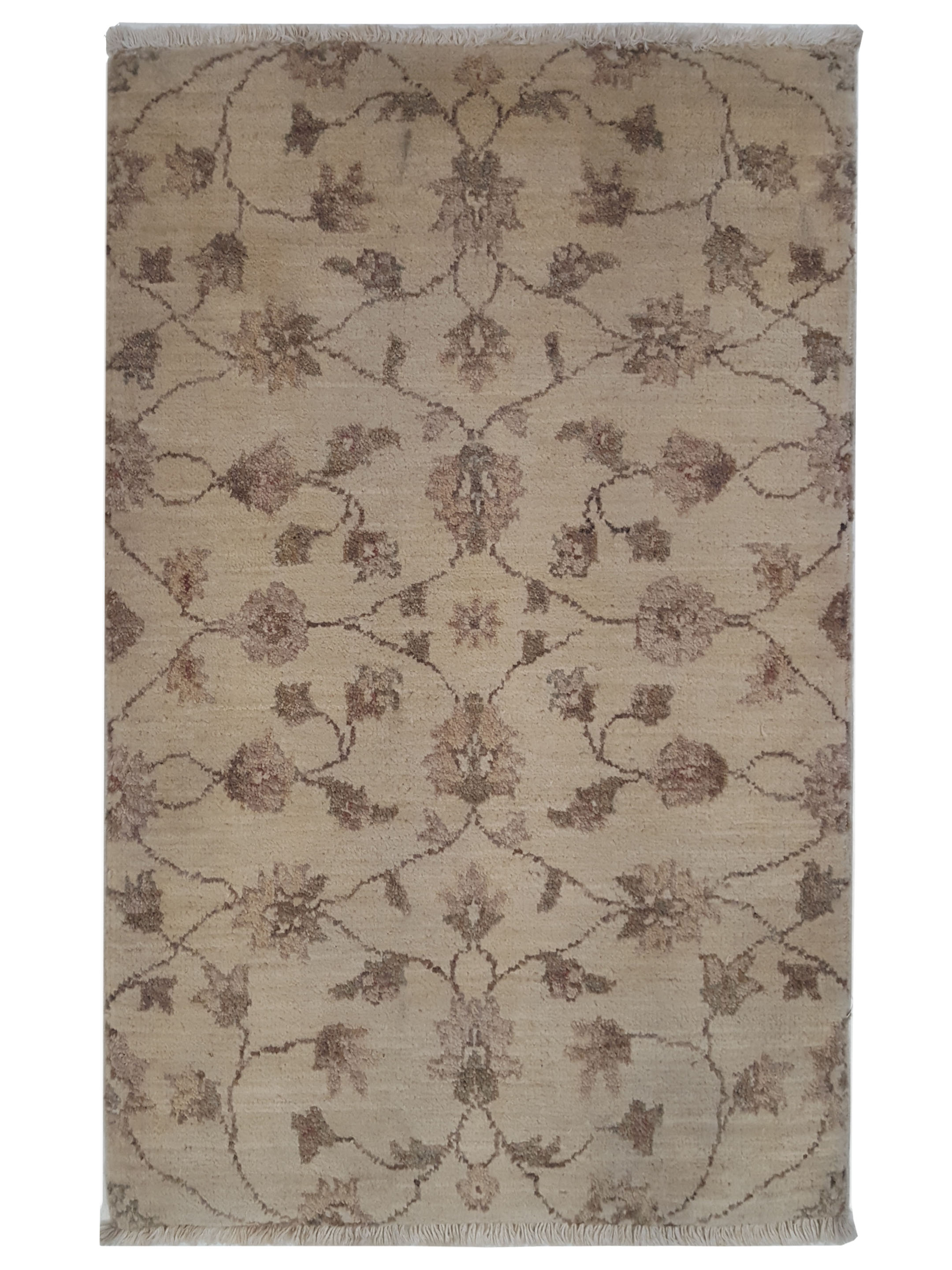 Ziegler Hand Knotted Ivory 2x4