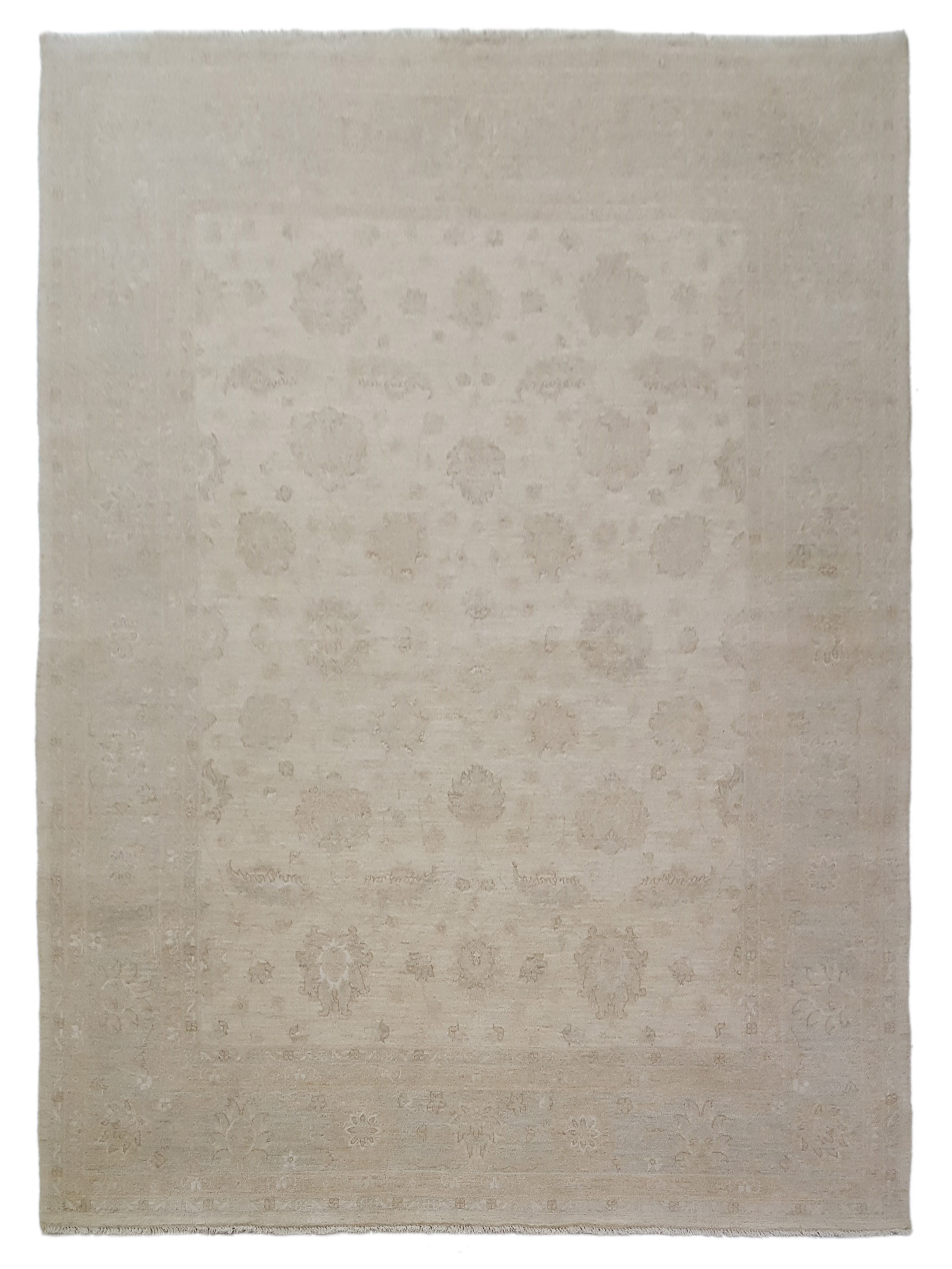 Ziegler Hand Knotted Ivory 8x10