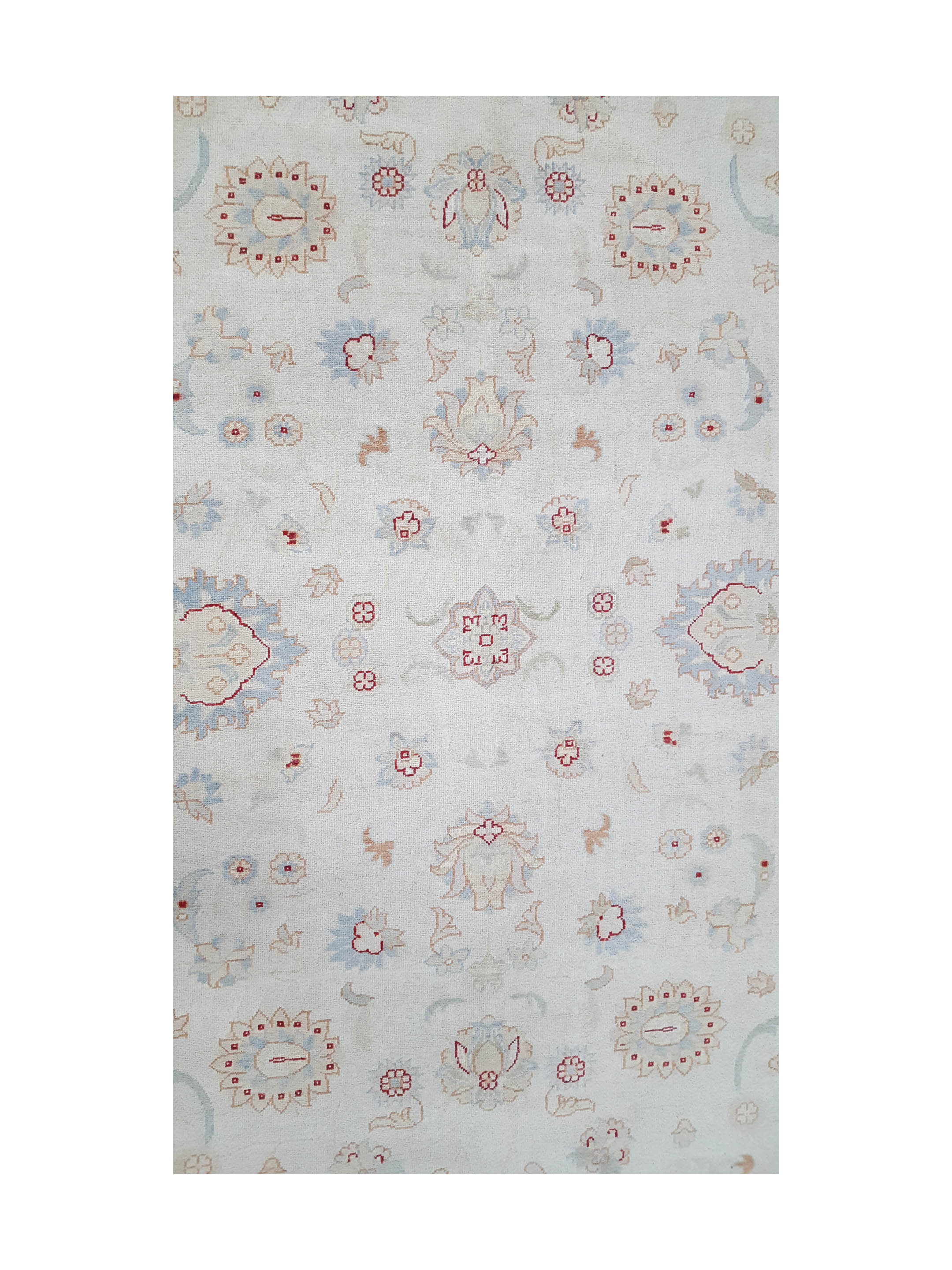 Ziegler Hand Knotted Ivory 7x10 - Image 5 of 6