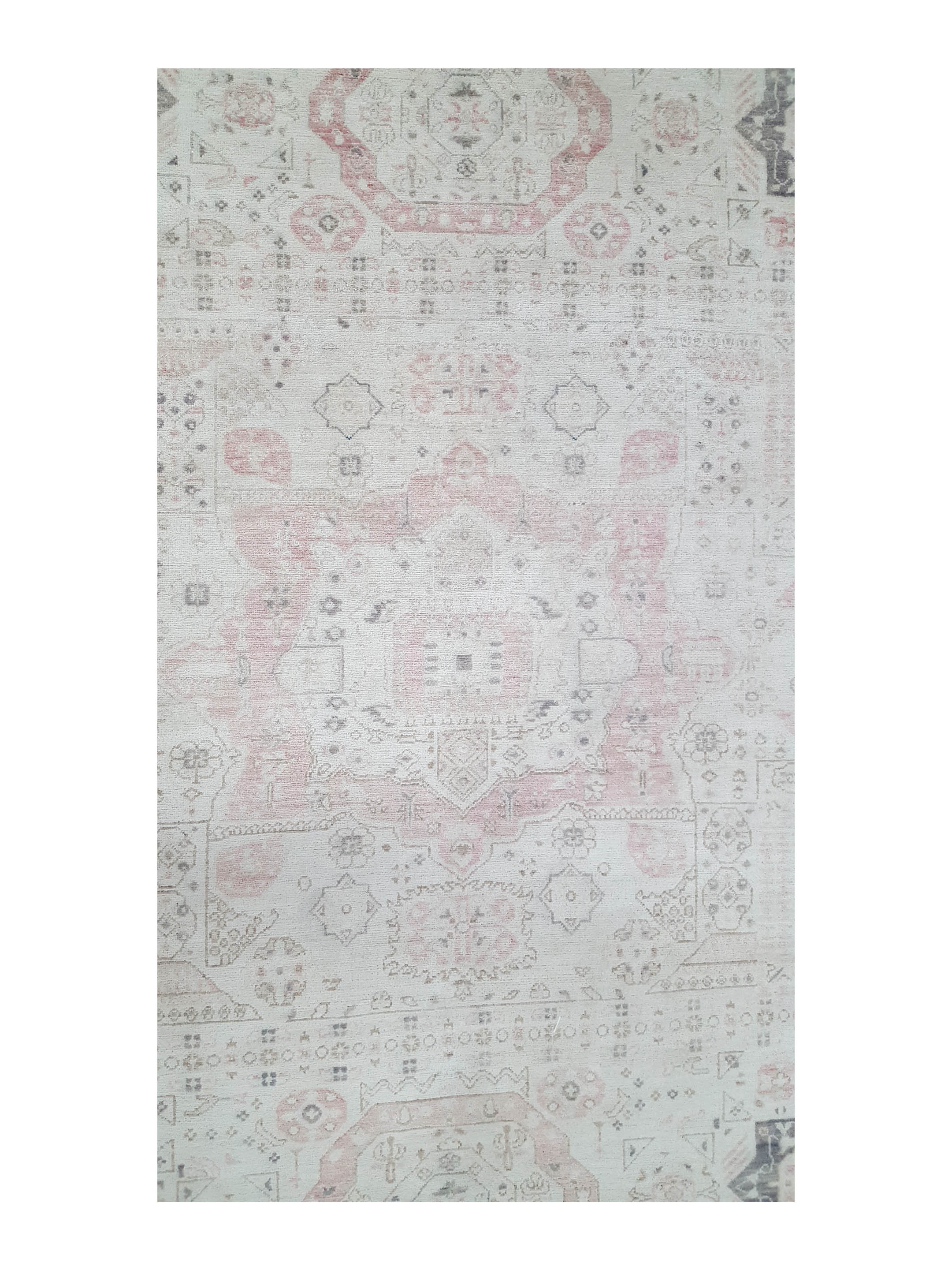 Ziegler Hand Knotted Ivory 8x10 - Image 5 of 6