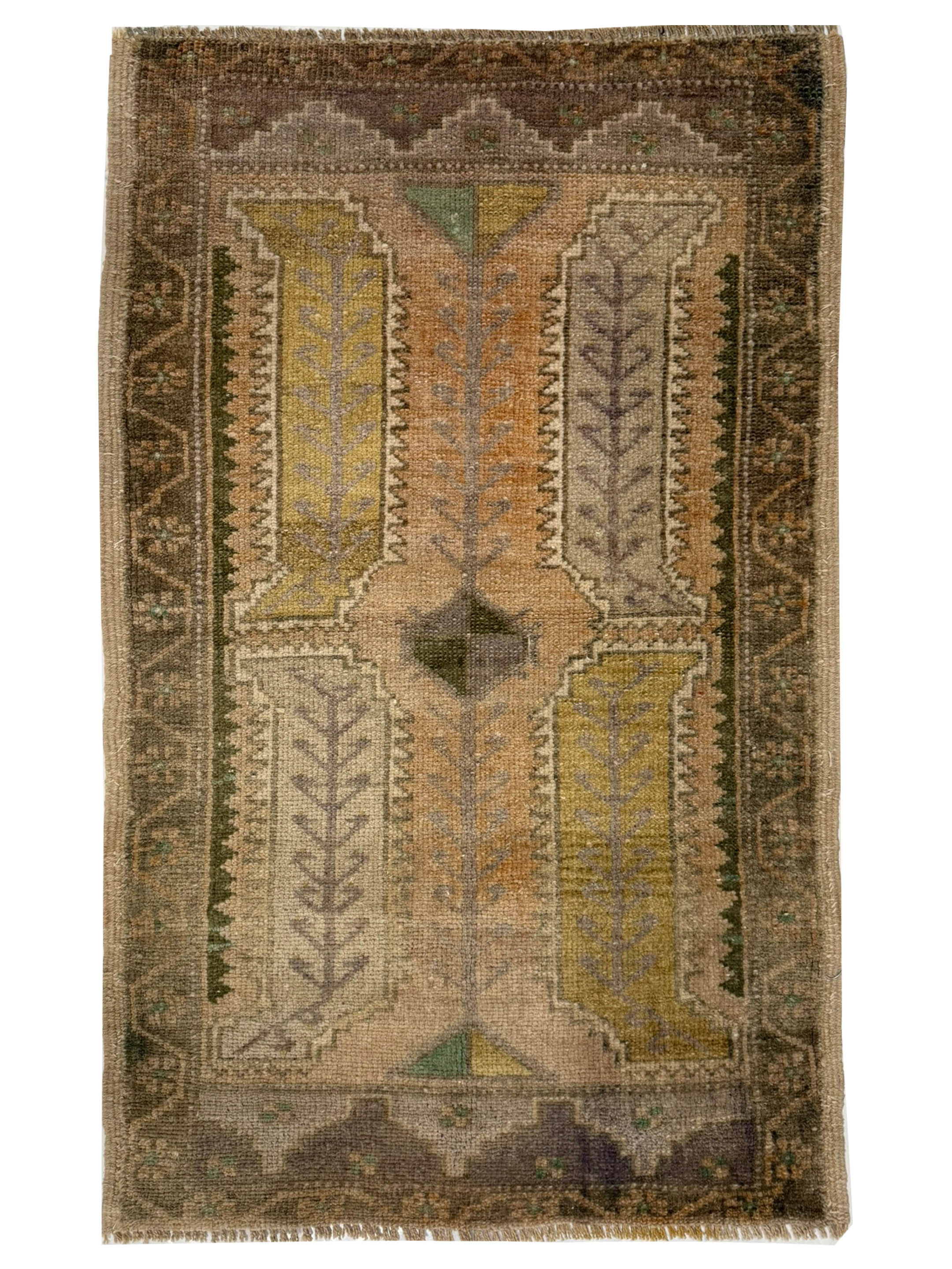 Anatolian Hand Knotted Beige 2x3