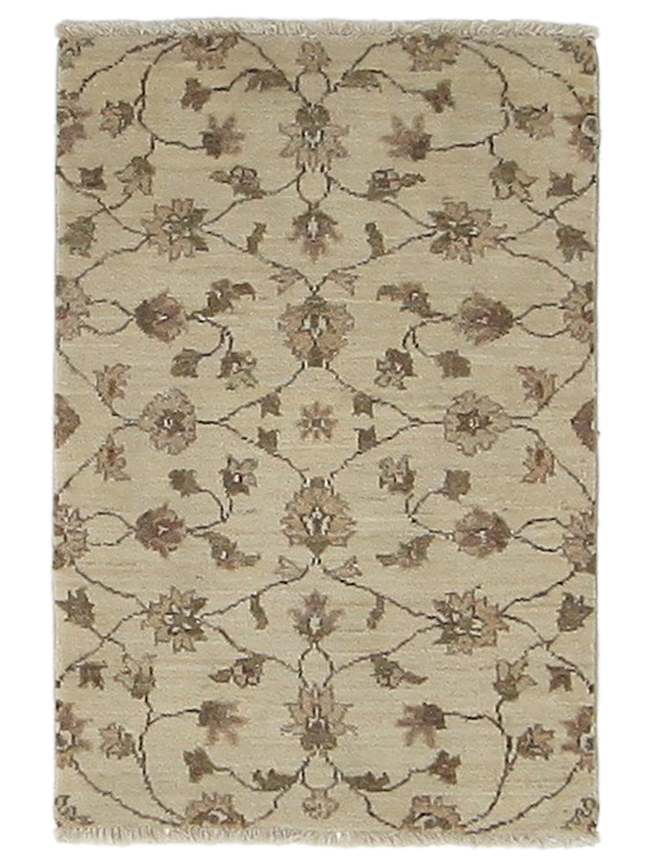 Ziegler Hand Knotted Ivory 2x3