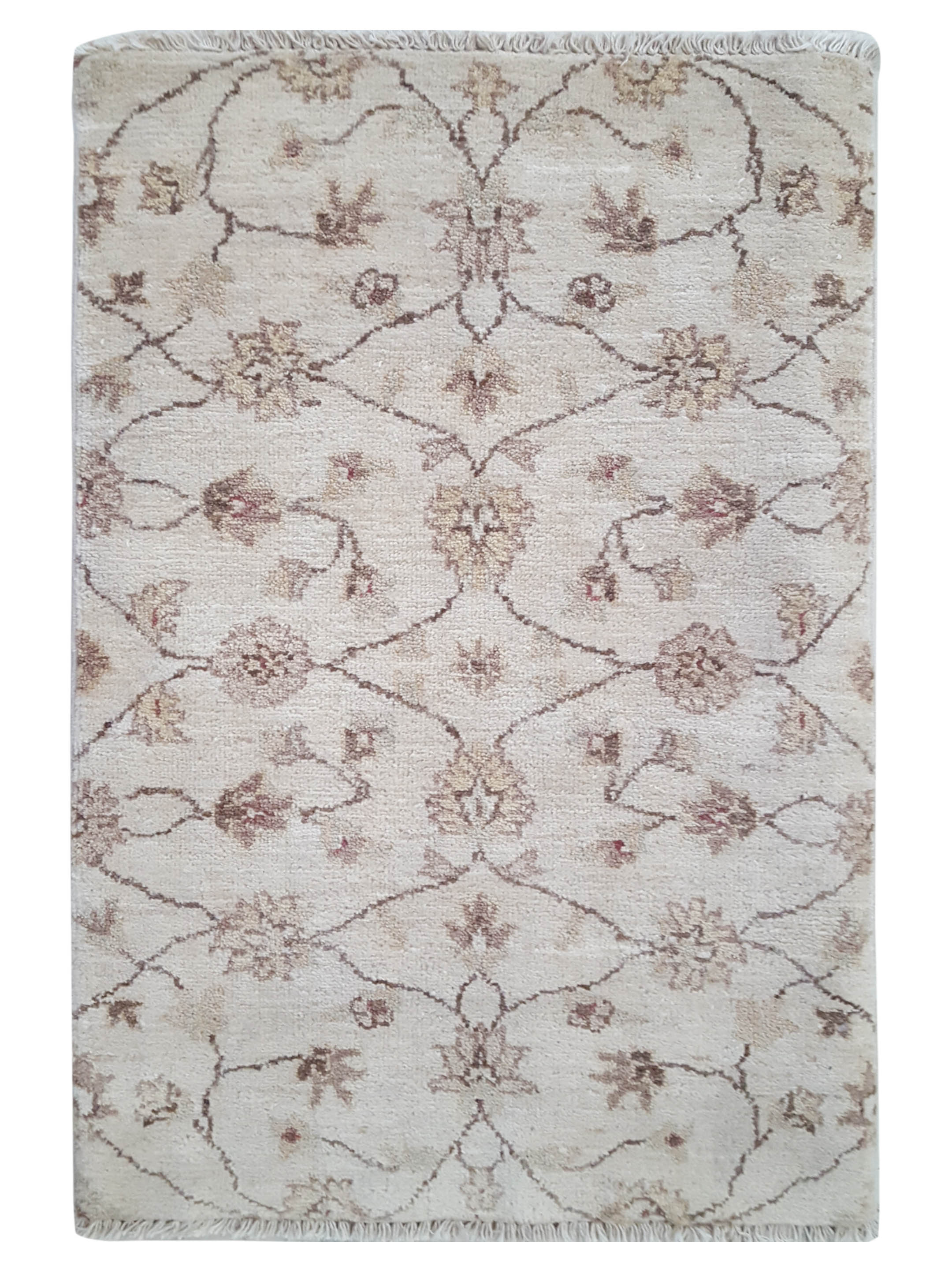 Ziegler Hand Knotted Ivory 2x3