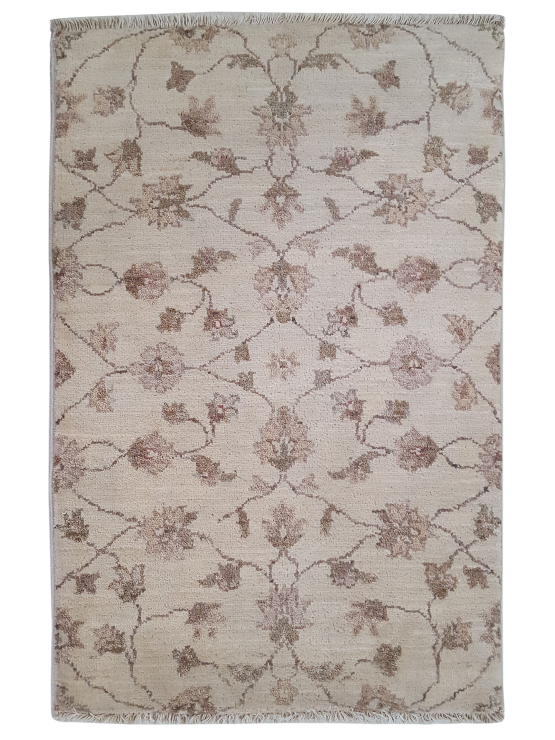 Ziegler Hand Knotted Ivory 2x3