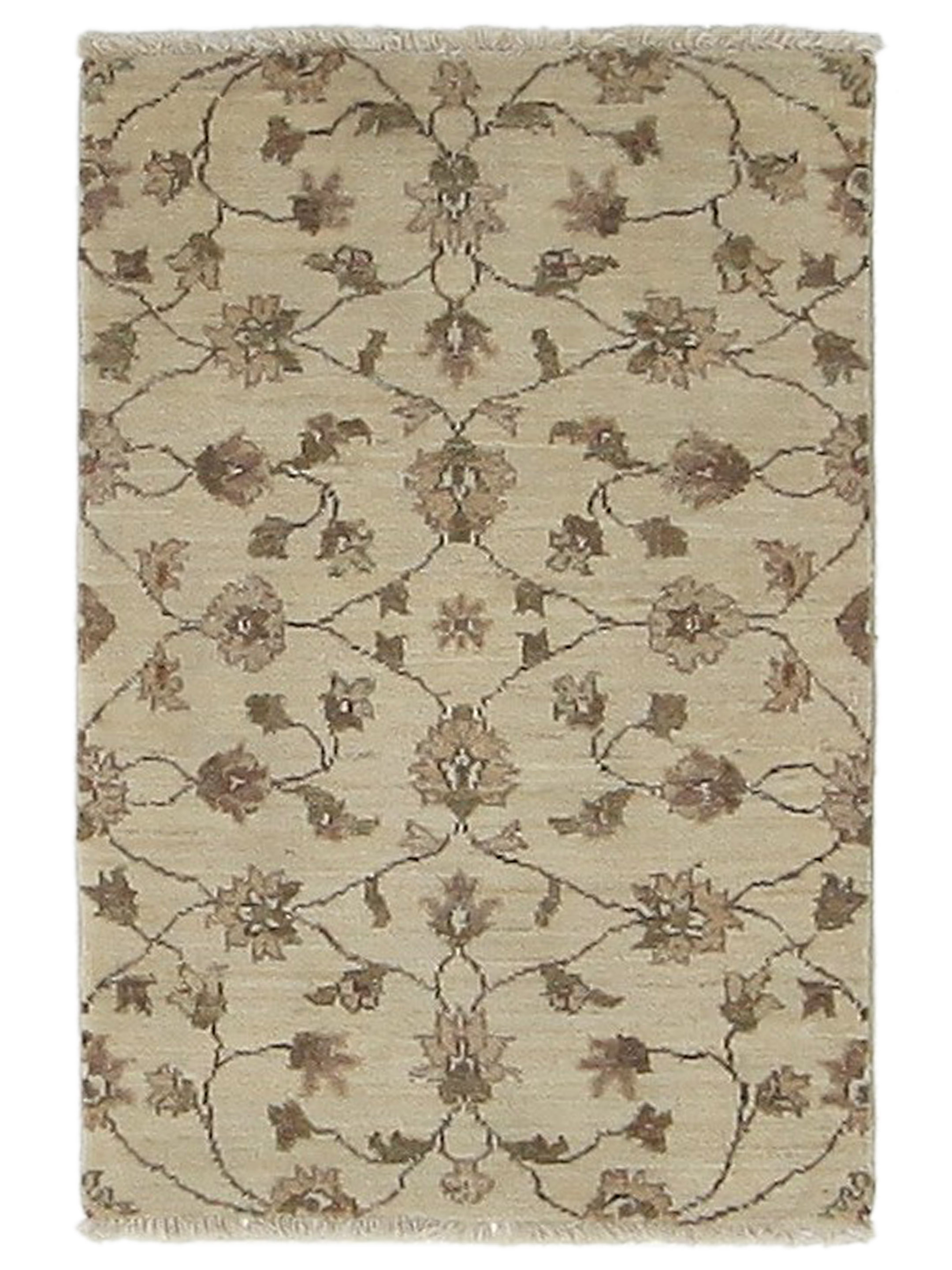 Ziegler Hand Knotted Ivory 2x3
