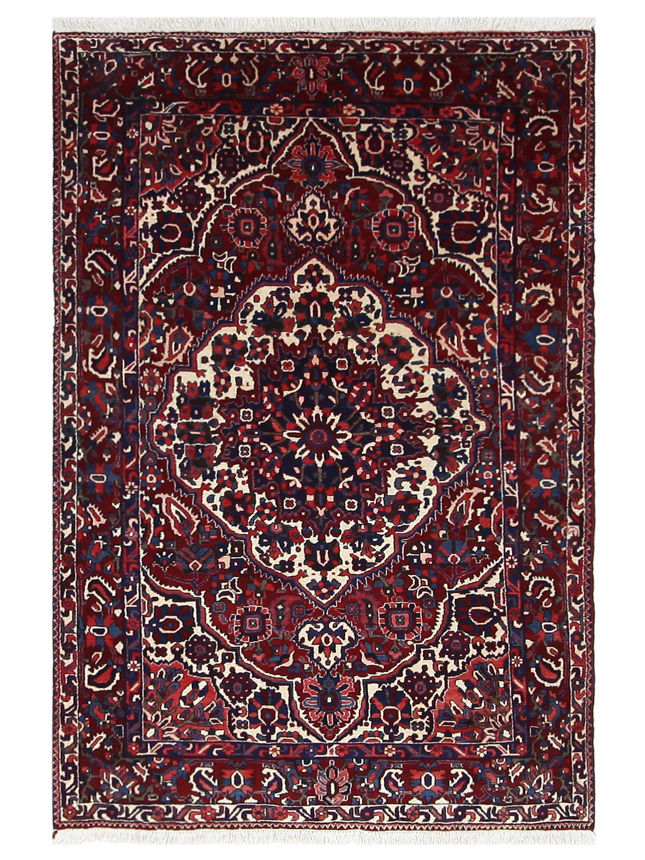 Bakhtiyari Hand Knotted Red 6x9