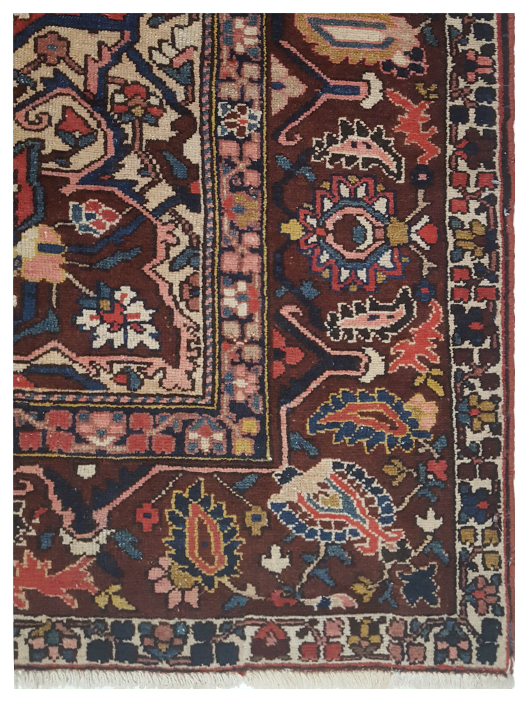 Bakhtiyari Hand Knotted Brown 10x10 - Image 4 of 5