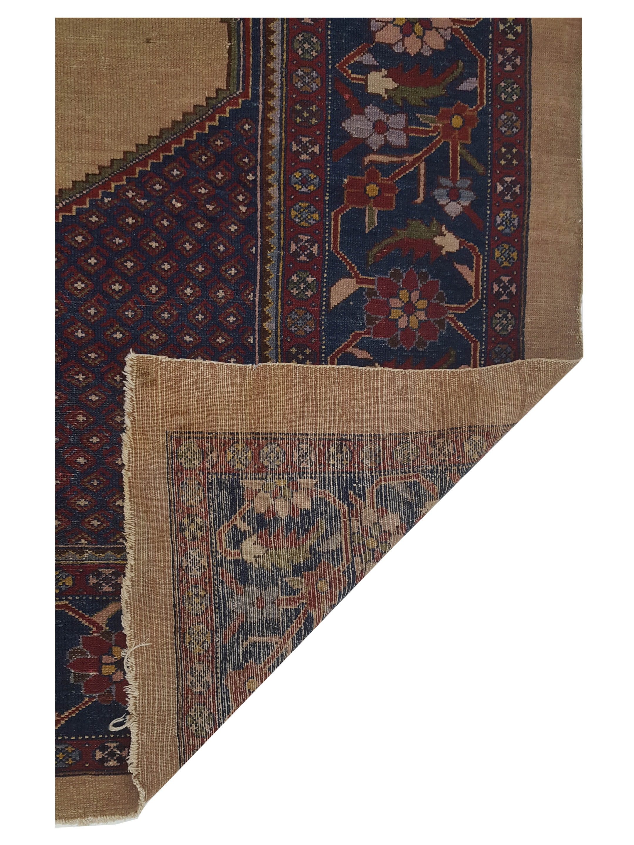 Antique Darjazin Camel 8x10 - Image 5 of 5