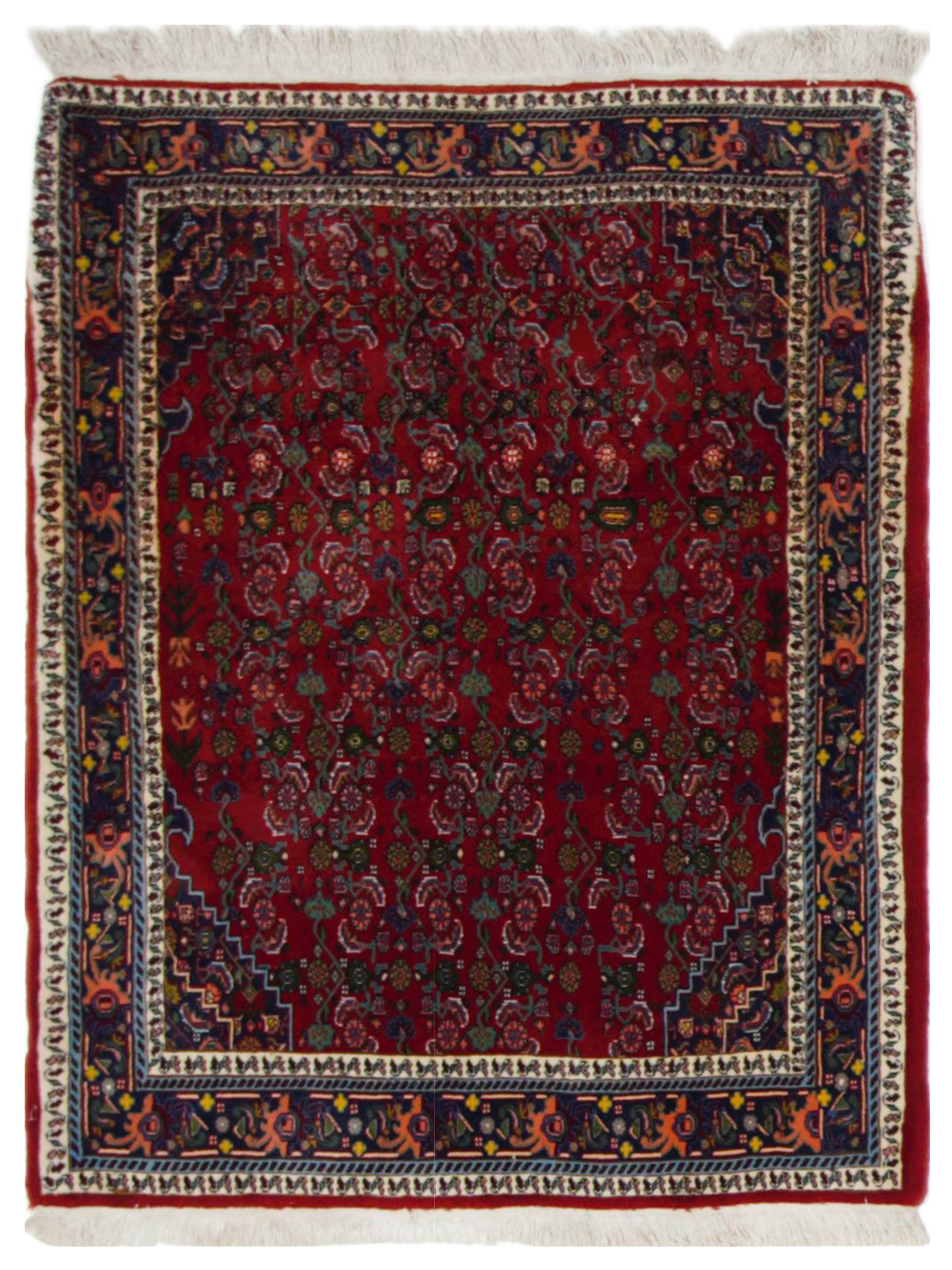 Bijar Hand Knotted Red 3x5