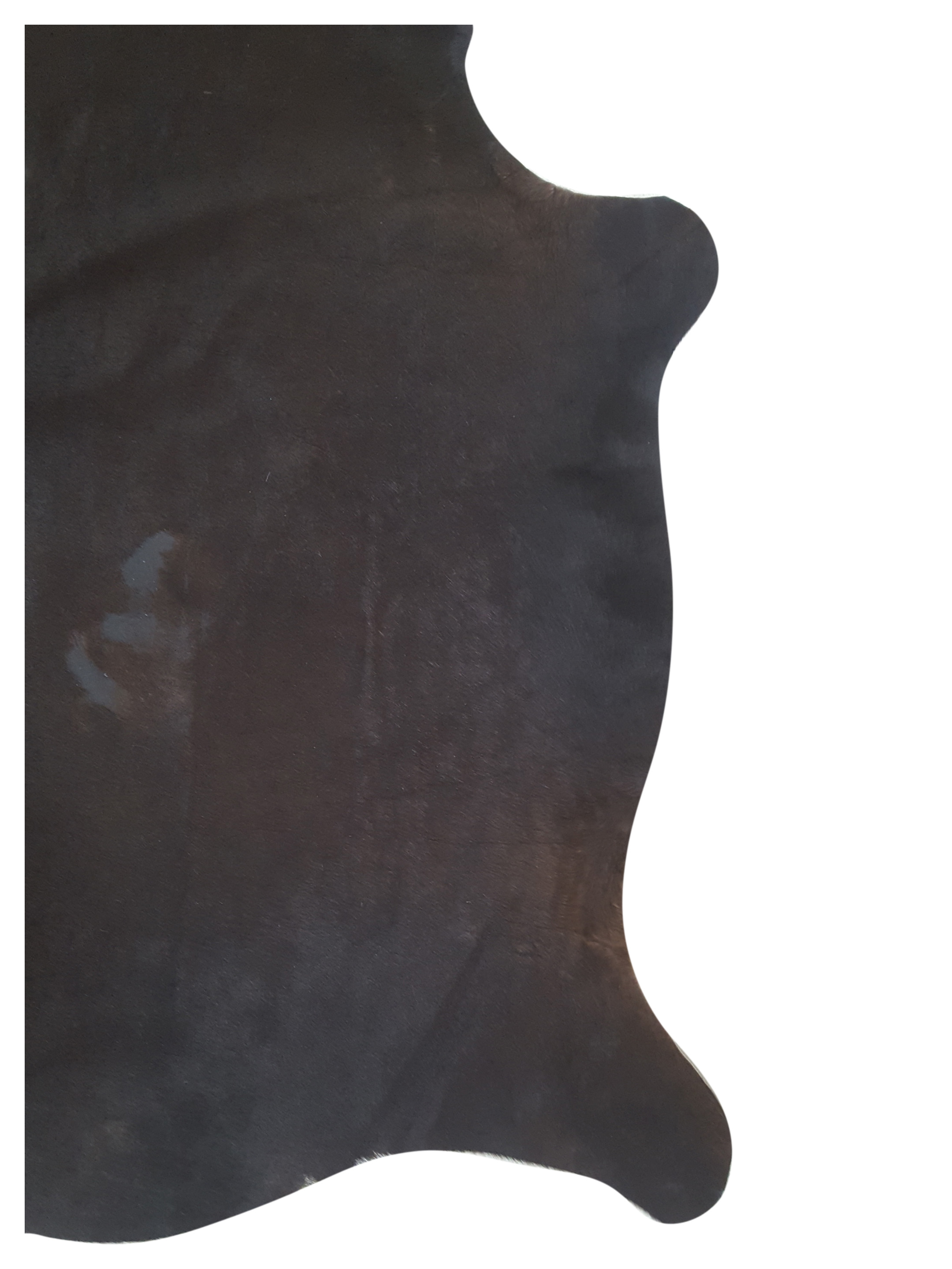 Argintina Cowhide 6x7 Espresso / Espresso - Image 2 of 4