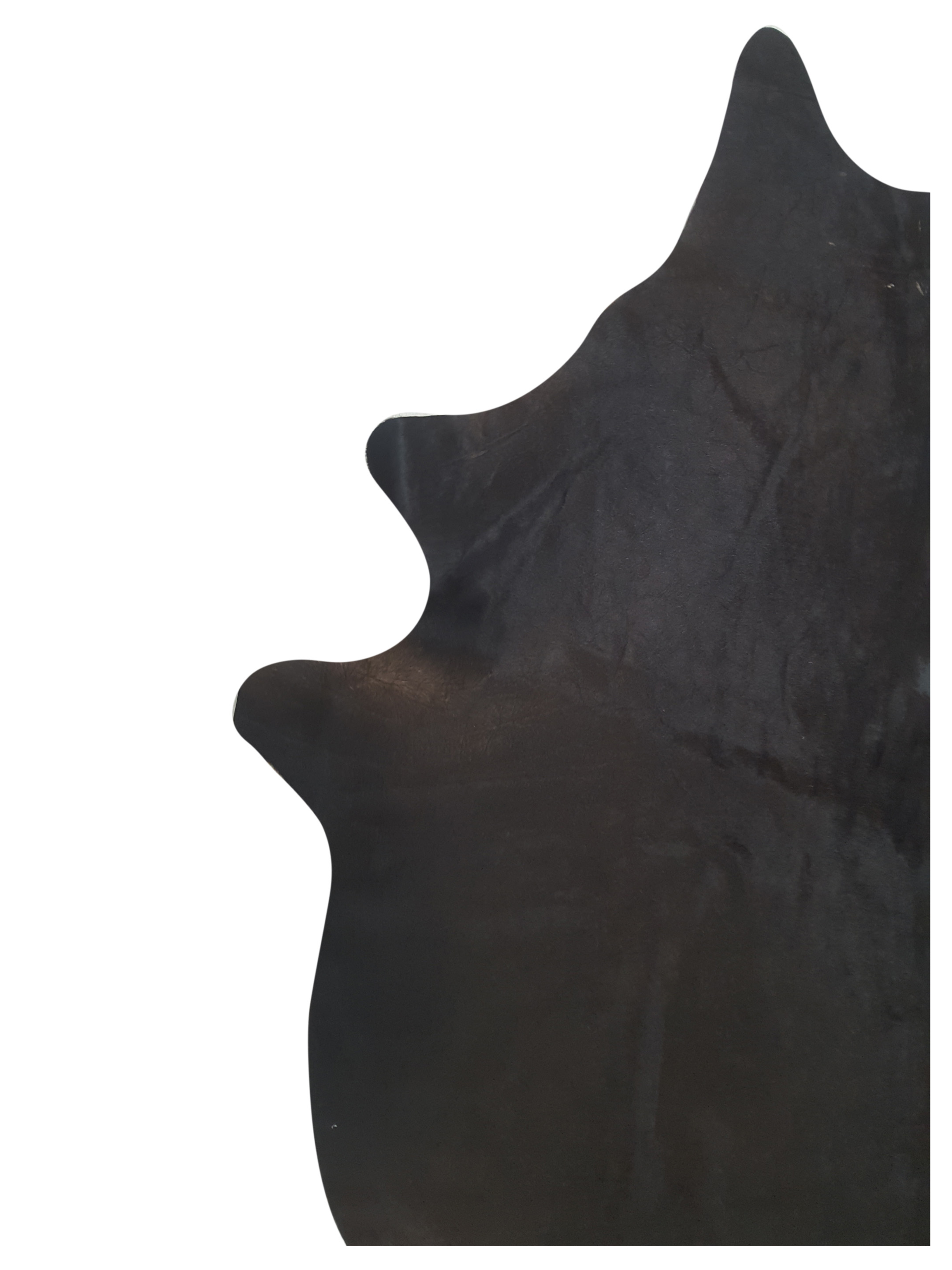 Argintina Cowhide 6x7 Espresso / Espresso - Image 3 of 4
