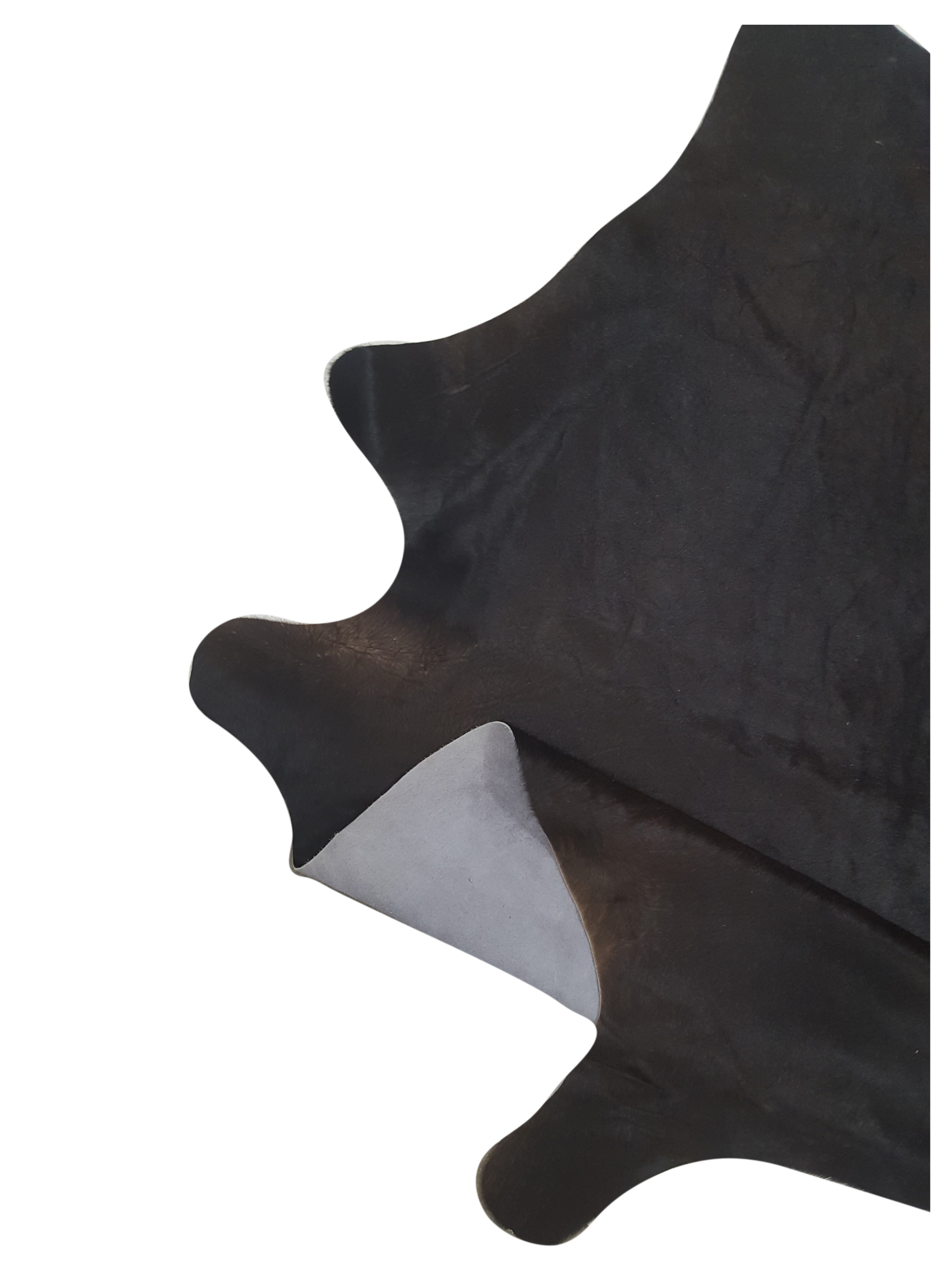 Argintina Cowhide 6x7 Espresso / Espresso - Image 4 of 4