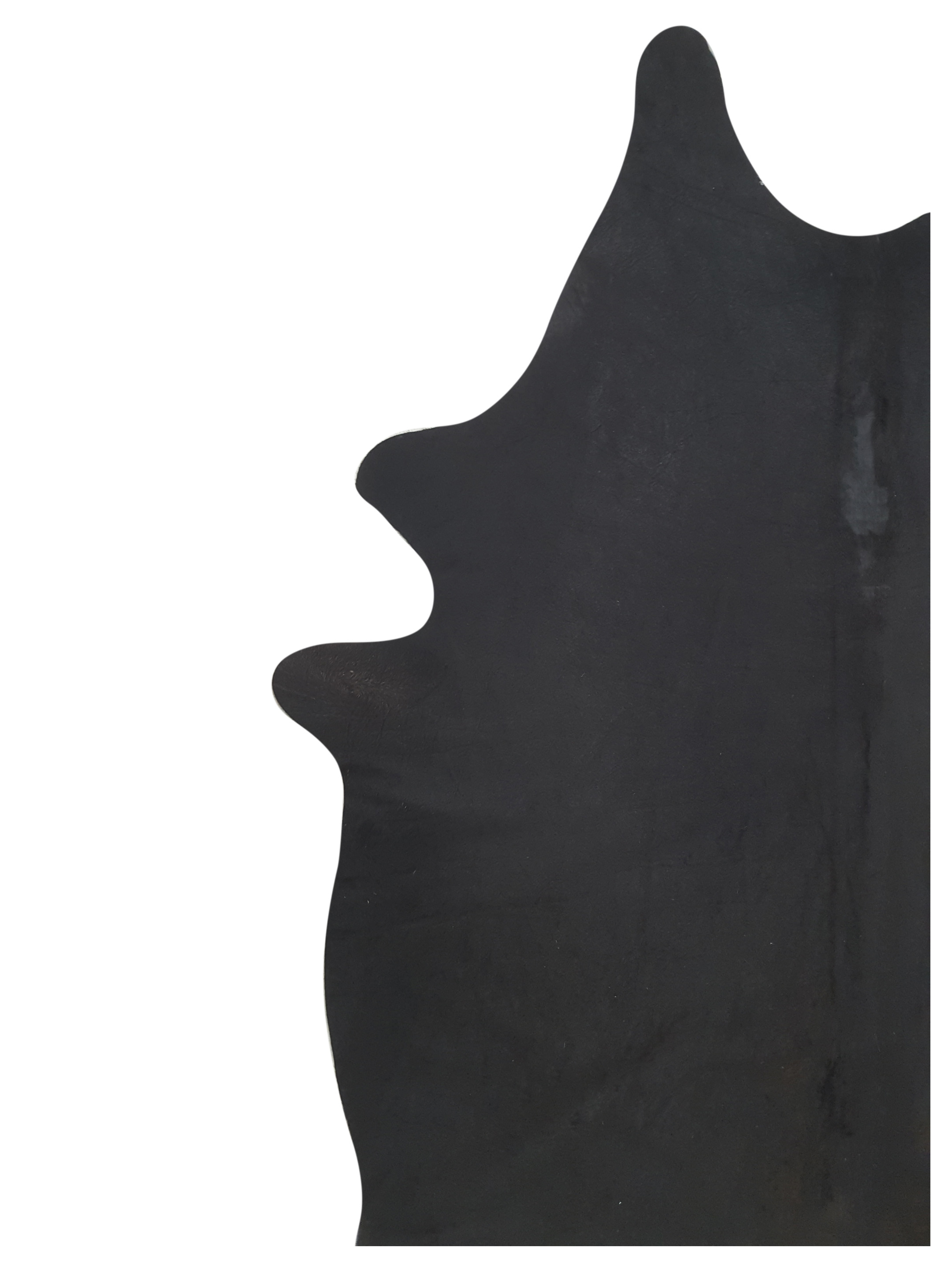 Argintina Cowhide 6x7 Espresso / Espresso - Image 3 of 4