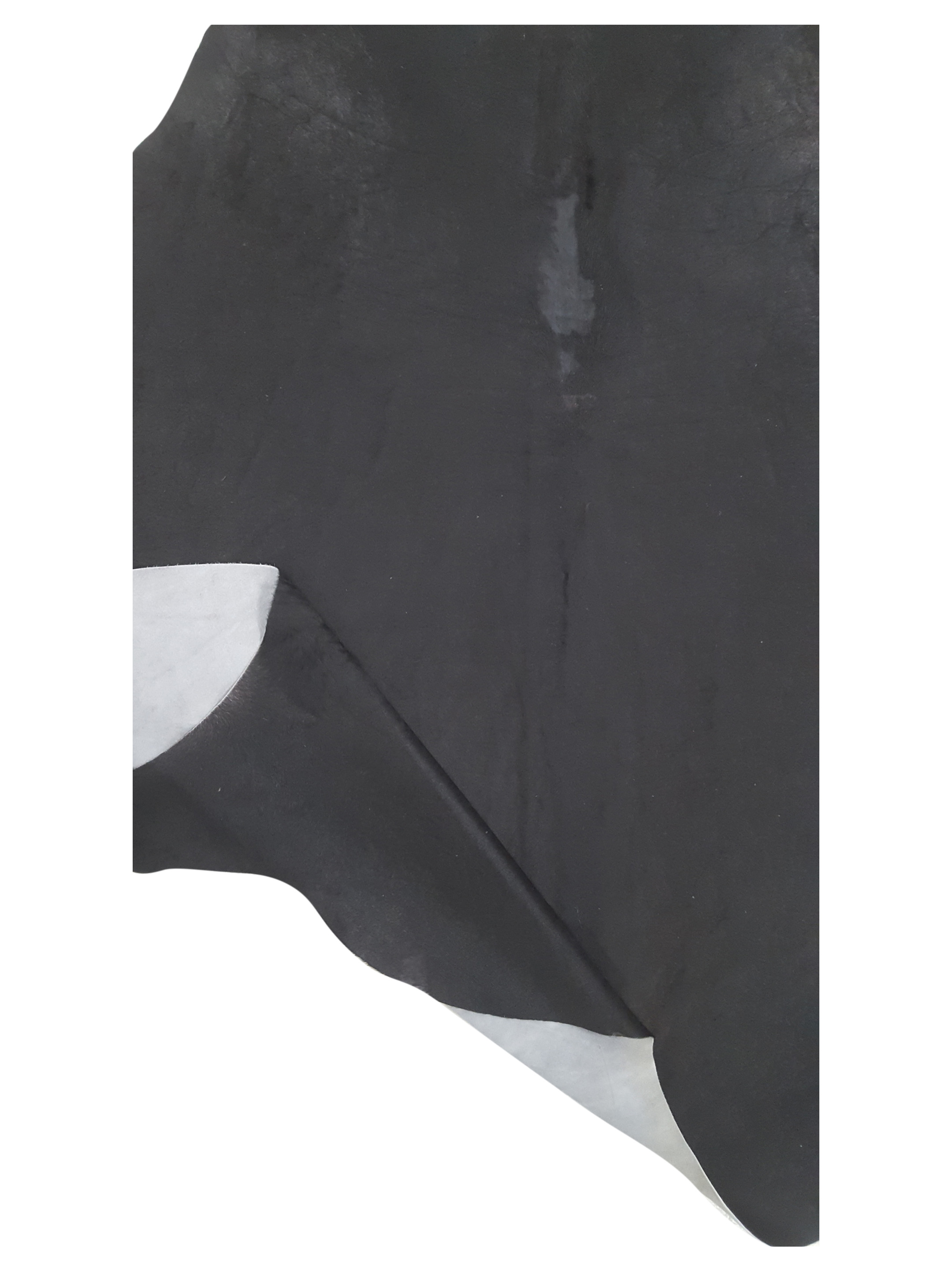 Argintina Cowhide 6x7 Espresso / Espresso - Image 4 of 4