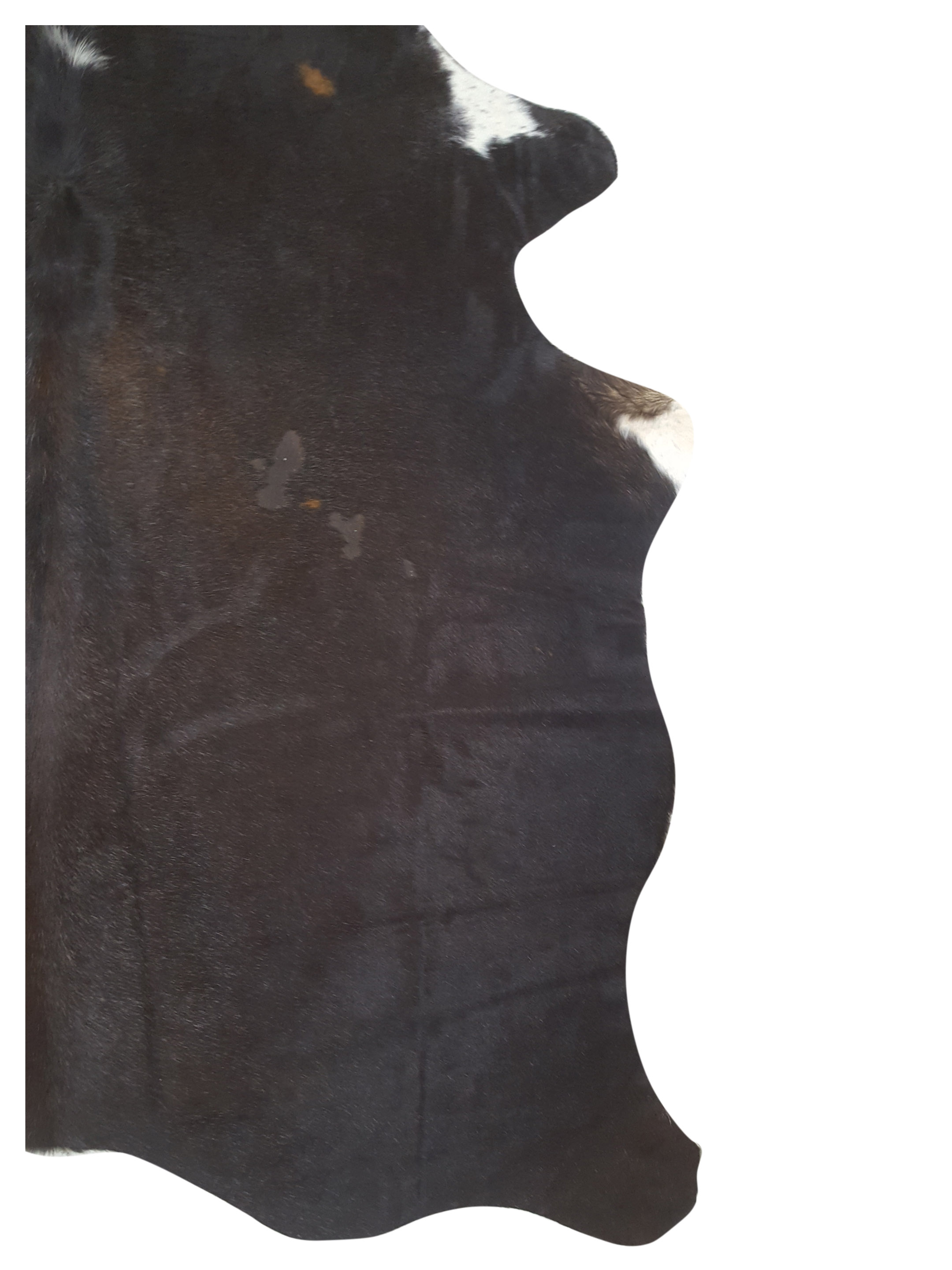 Argintina Cowhide 6x7 Espresso / Ivory - Image 2 of 4
