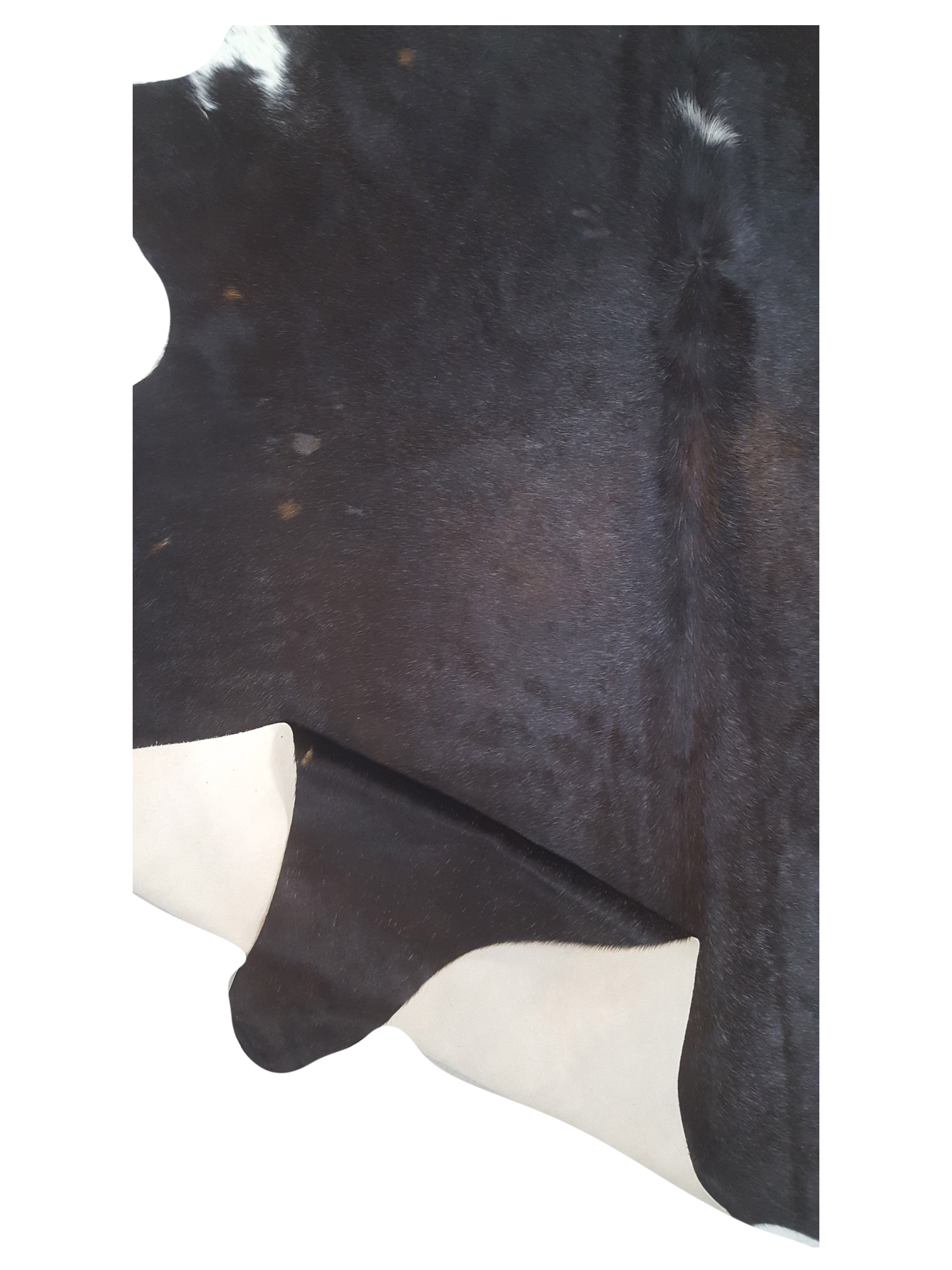 Argintina Cowhide 6x7 Espresso / Ivory - Image 4 of 4