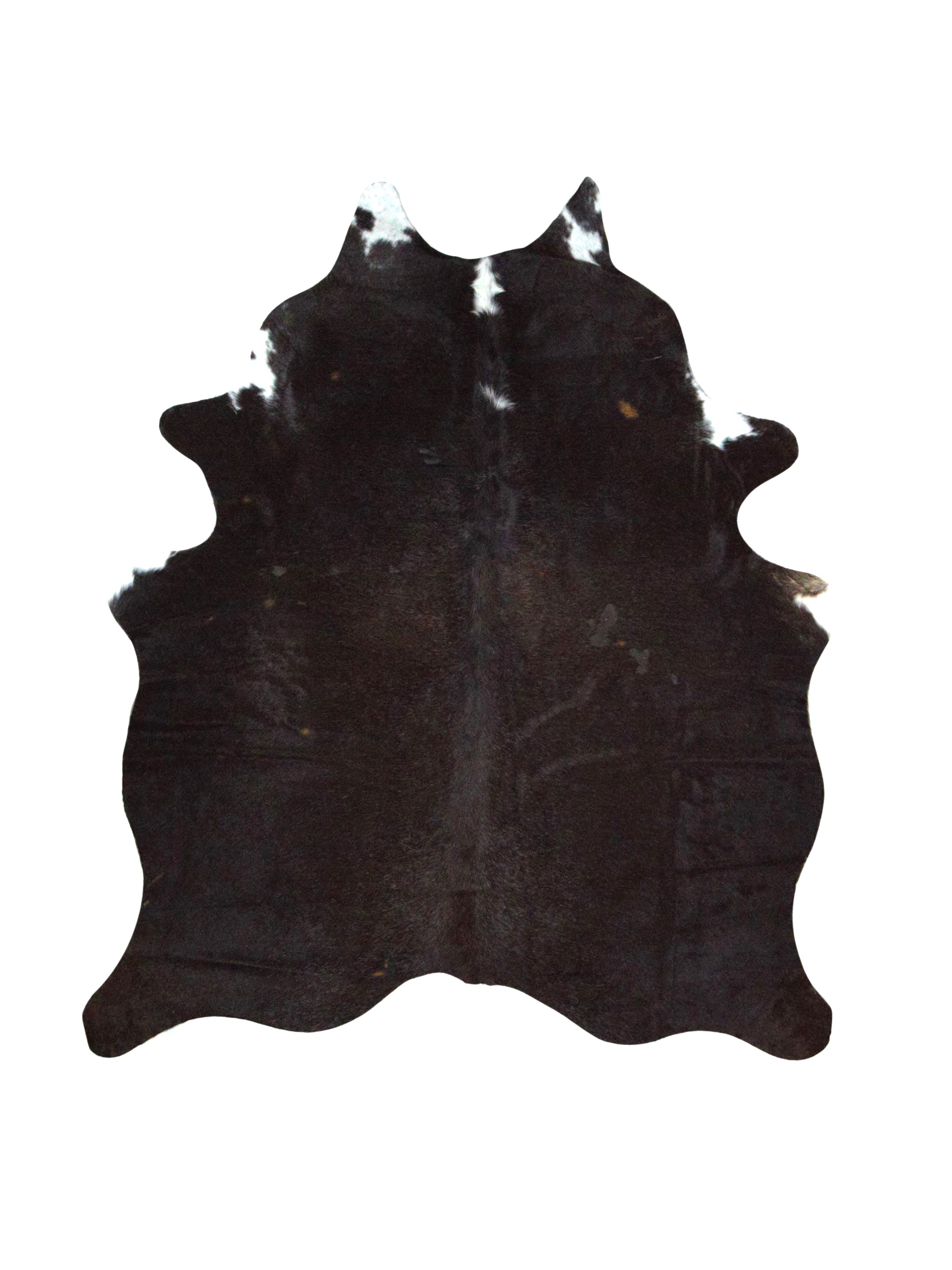 Argintina Cowhide 6x7 Espresso / Ivory
