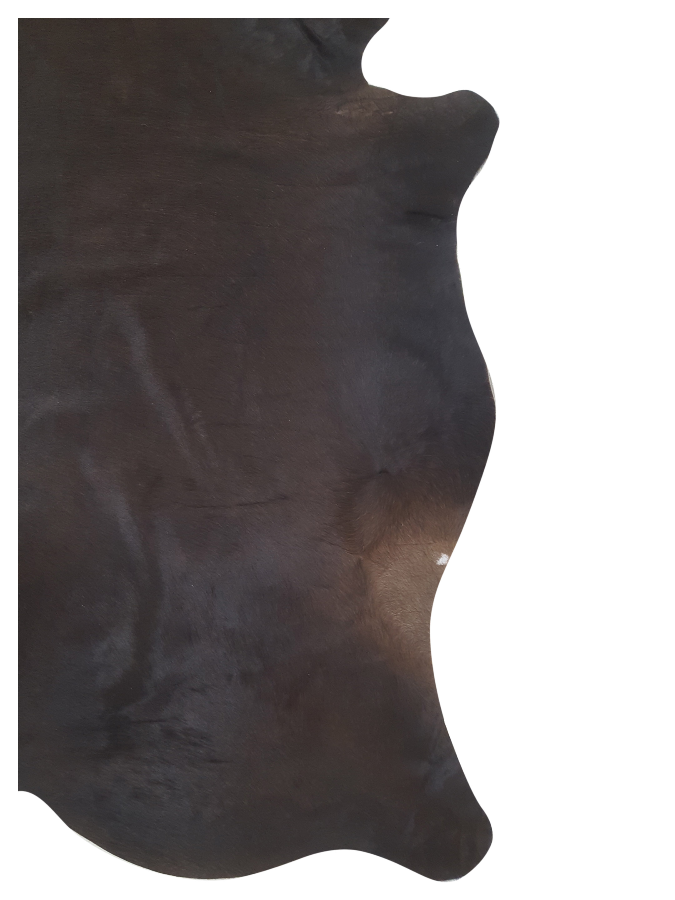 Argintina Cowhide 6x7 Espresso / Espresso - Image 2 of 4