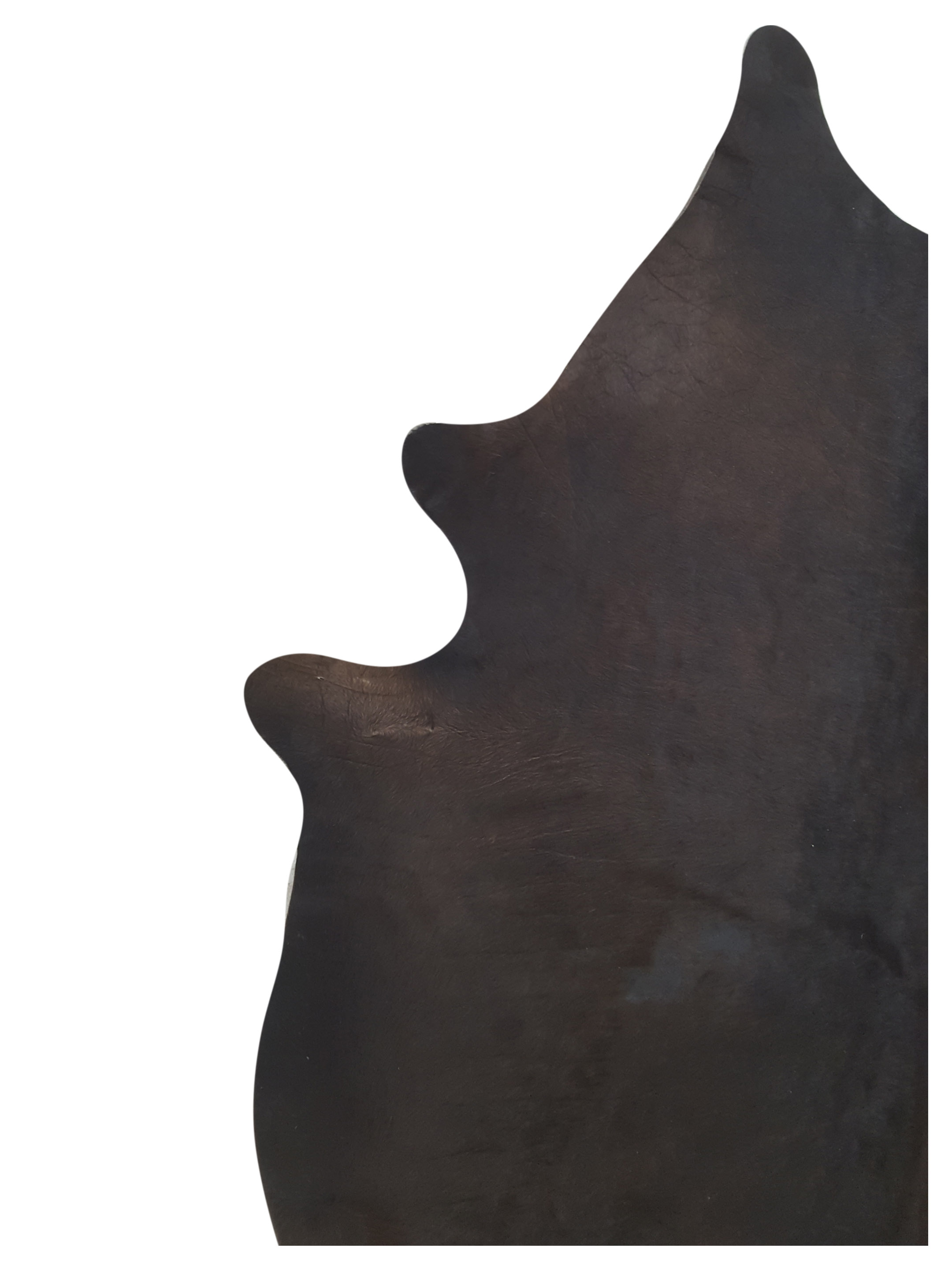 Argintina Cowhide 6x7 Espresso / Espresso - Image 3 of 4