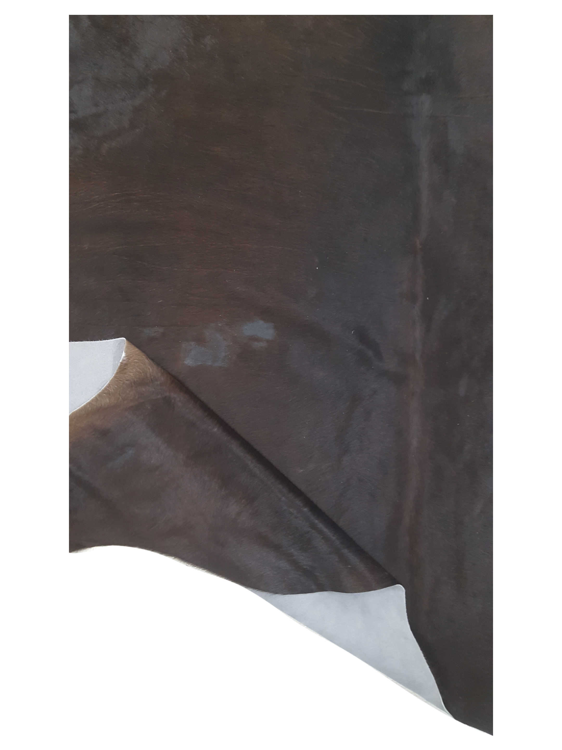 Argintina Cowhide 6x7 Espresso / Espresso - Image 4 of 4
