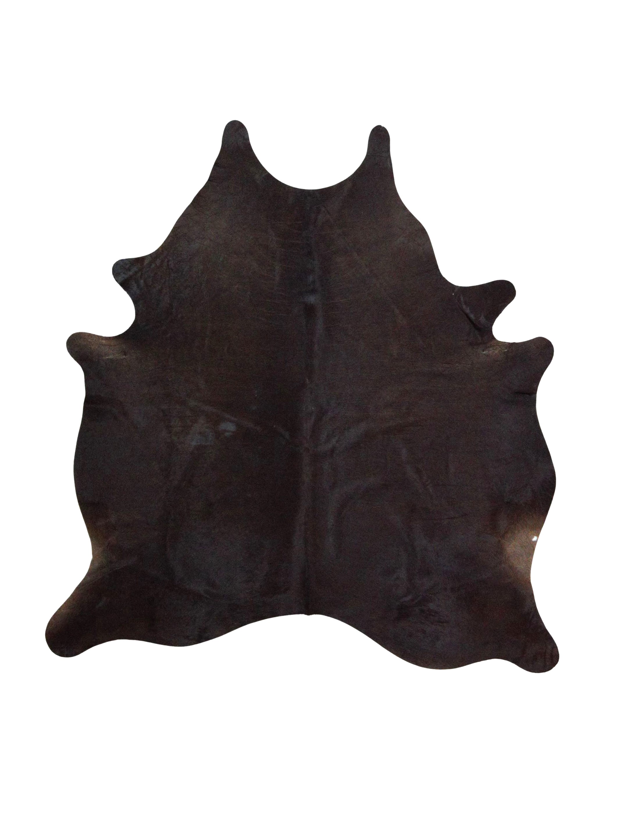 Argintina Cowhide 6x7 Espresso / Espresso
