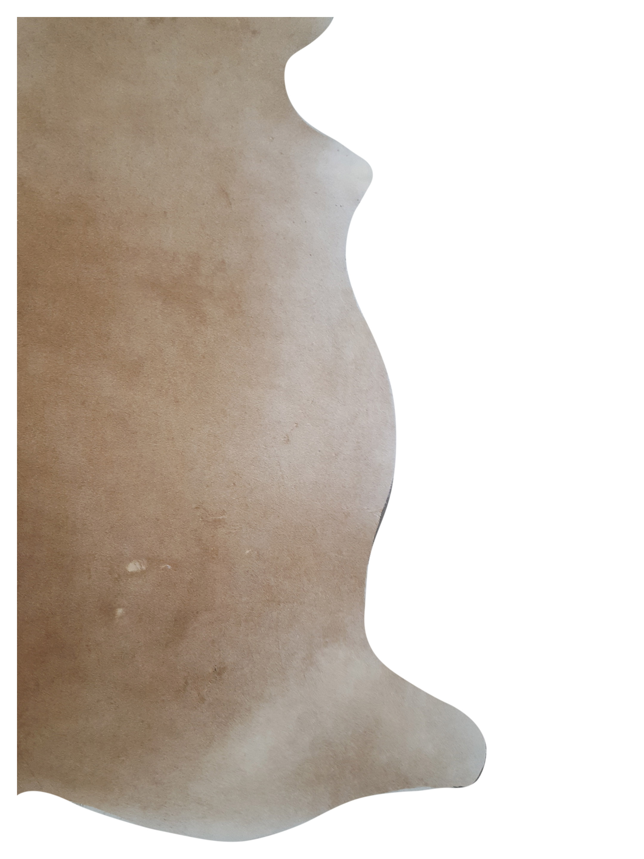 Argintina Cowhide 6x7 Caramel / Beige - Image 2 of 4