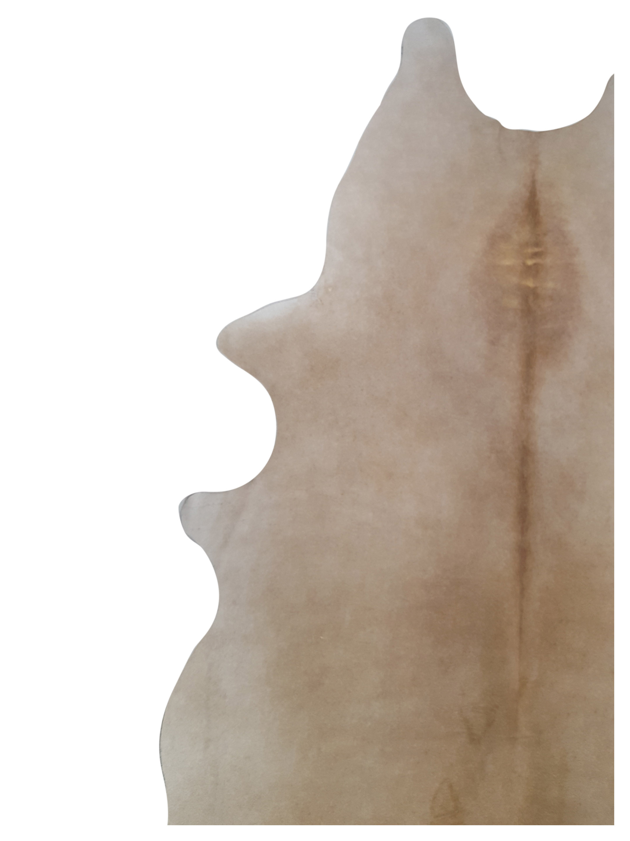 Argintina Cowhide 6x7 Caramel / Beige - Image 3 of 4