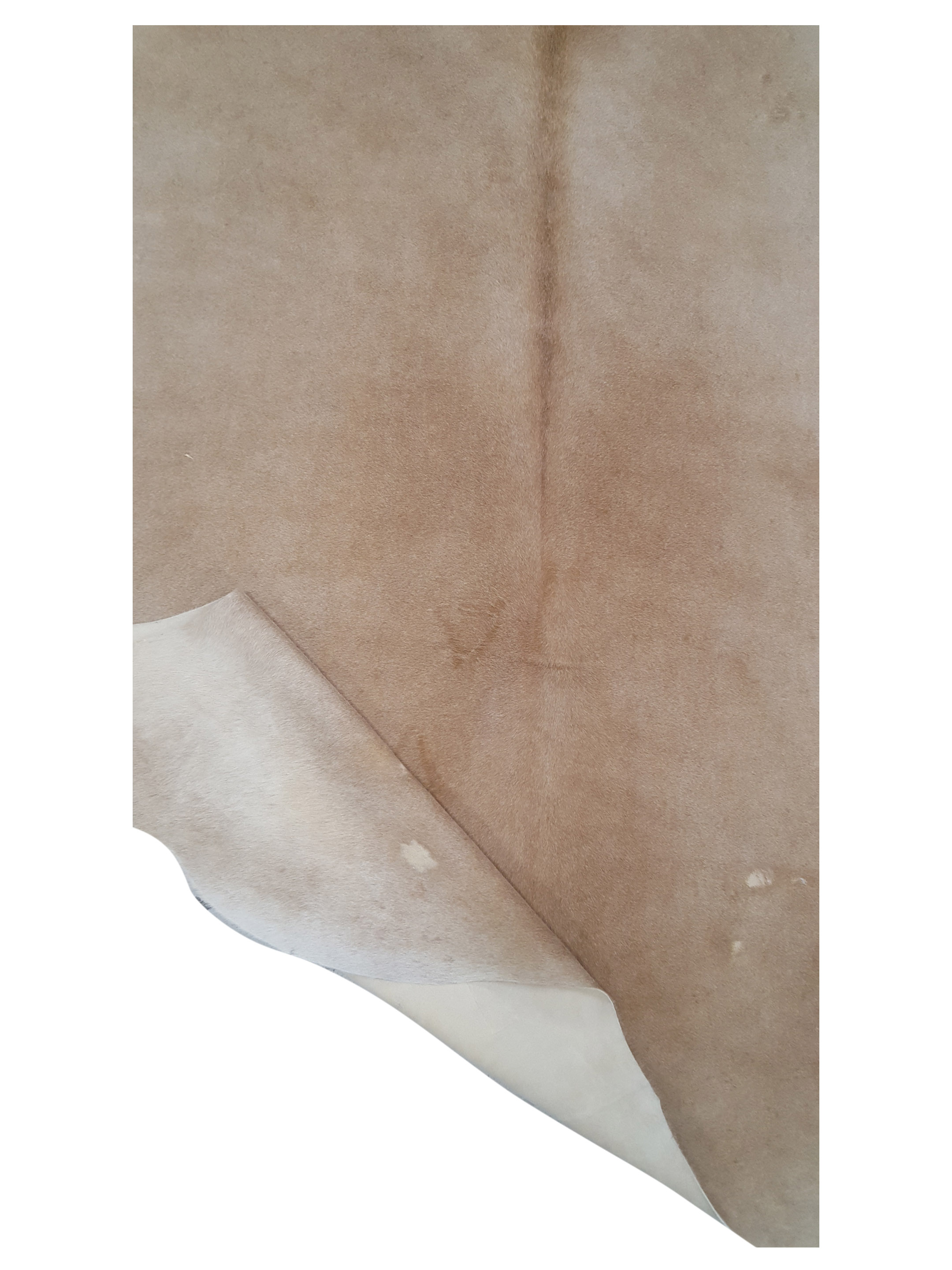 Argintina Cowhide 6x7 Caramel / Beige - Image 4 of 4