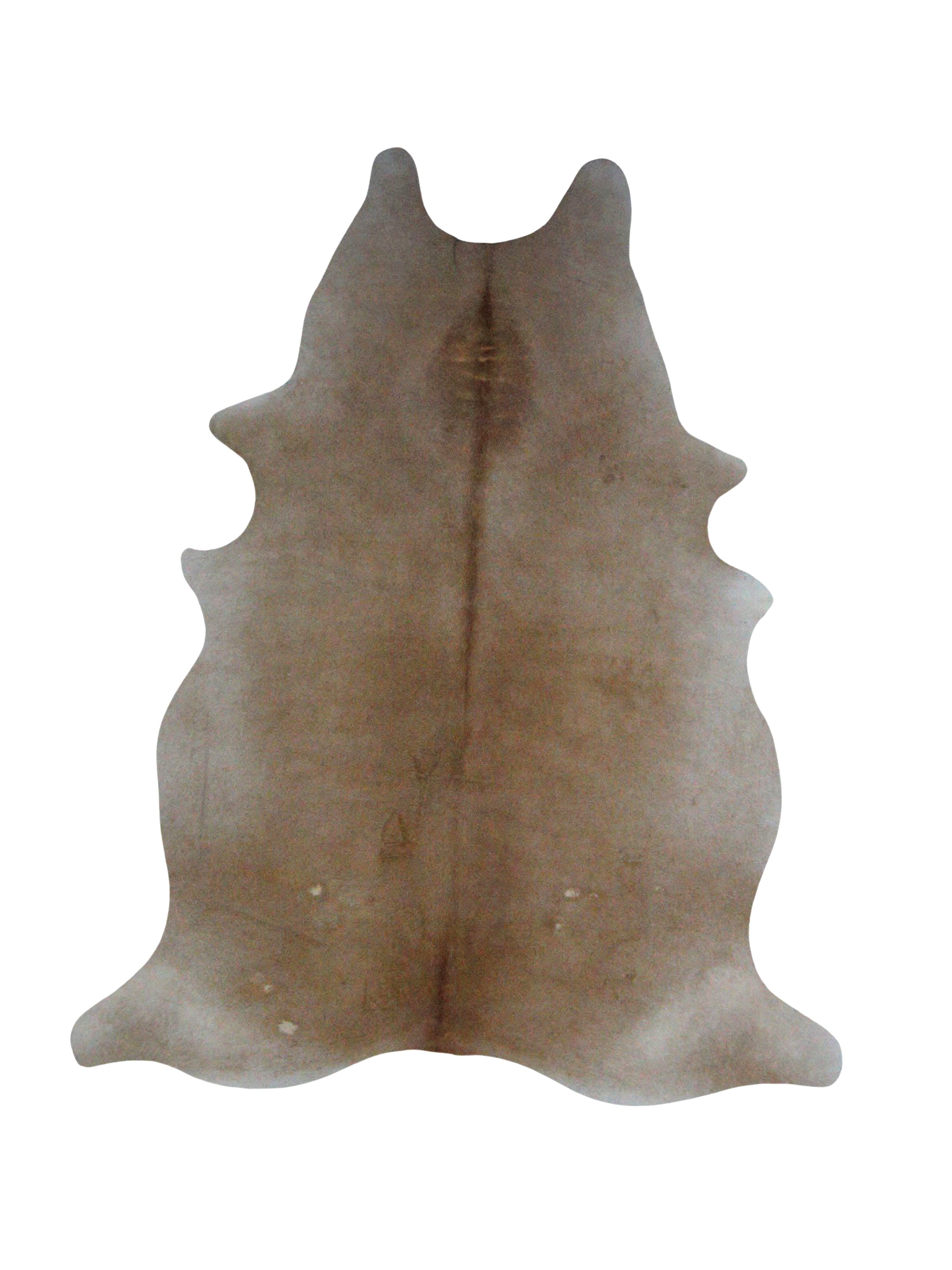 Argintina Cowhide 6x7 Caramel / Beige