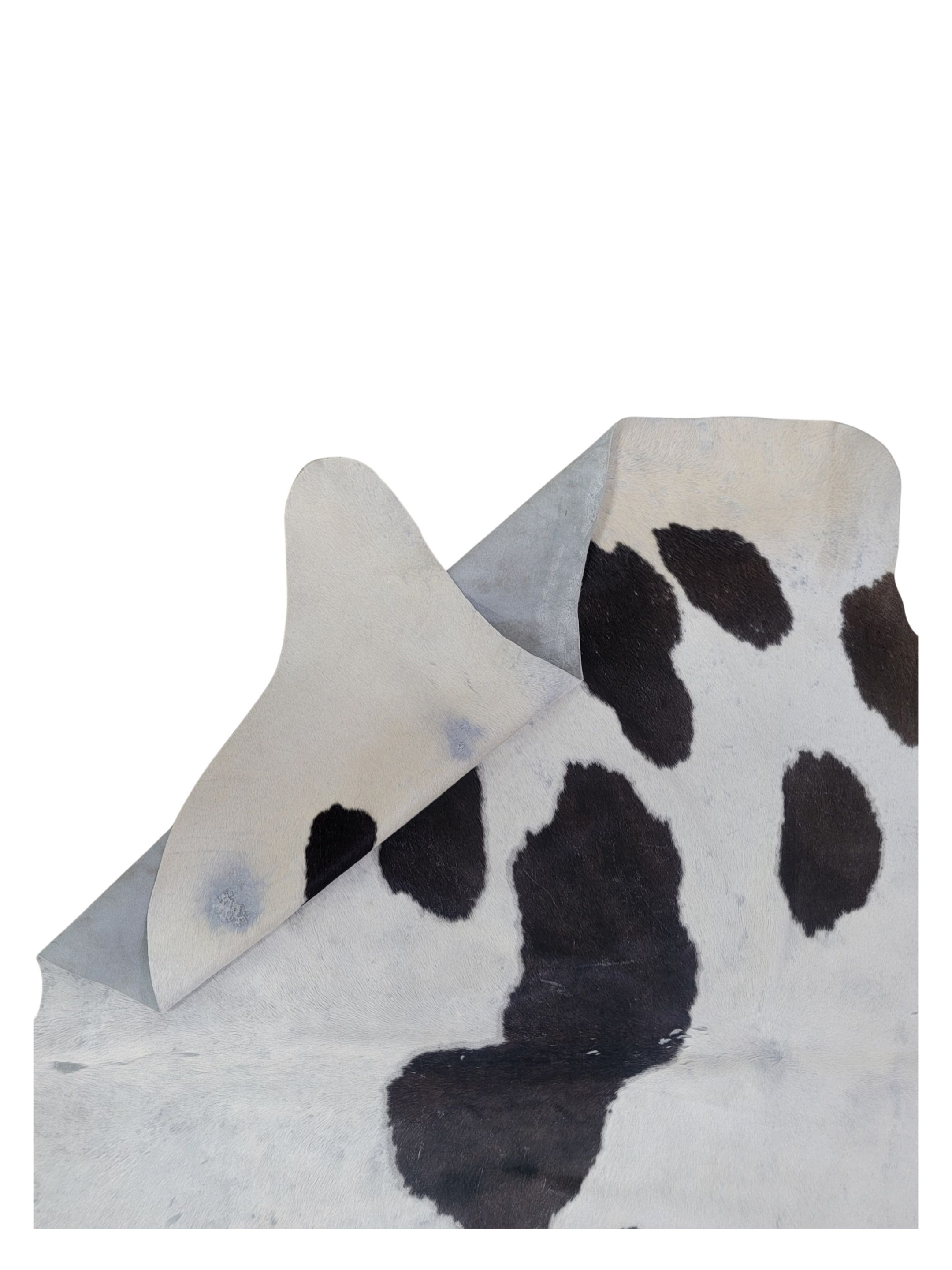 Brazil Cowhide 7x8 Ivory / Black - Image 3 of 3